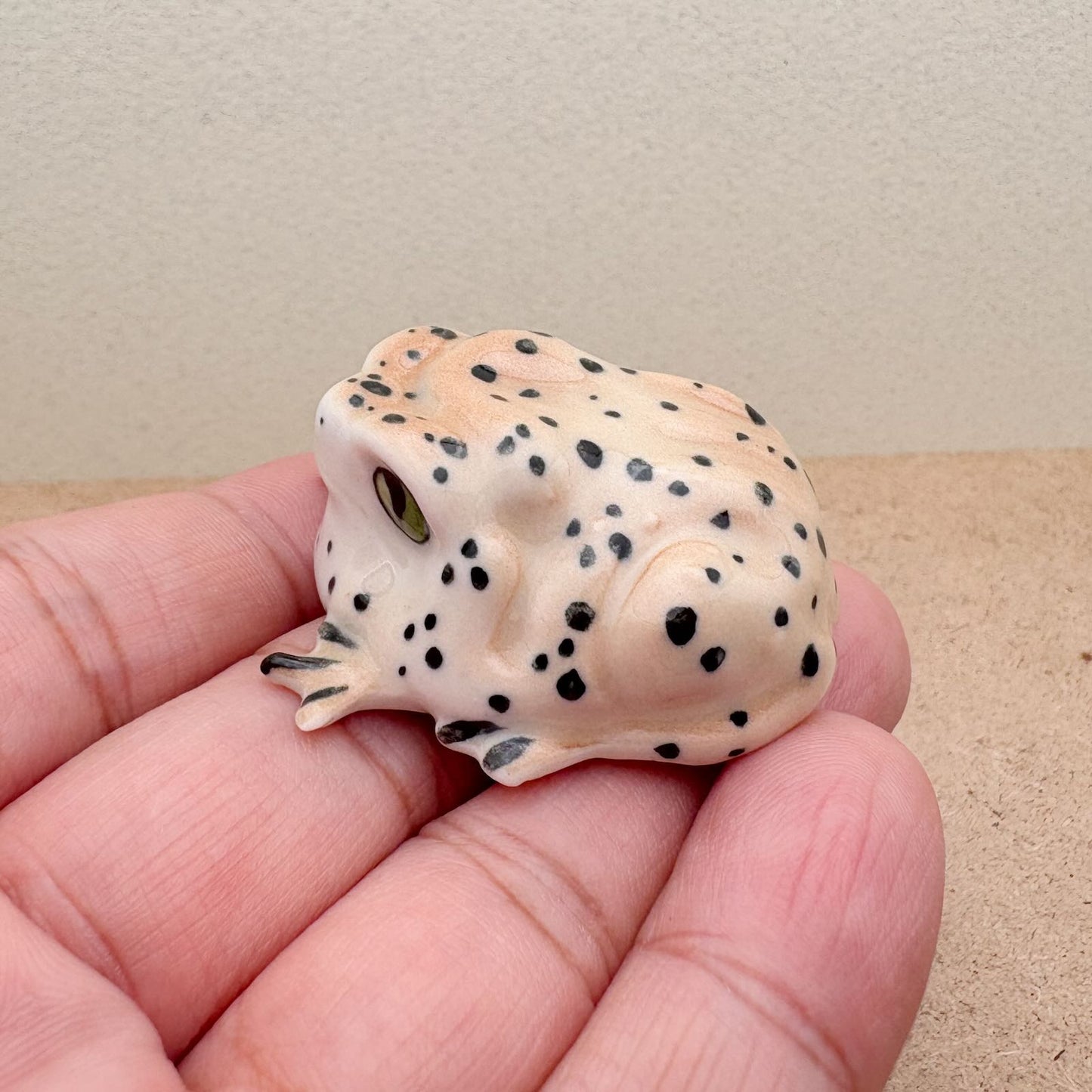 Spotted Forest Frog