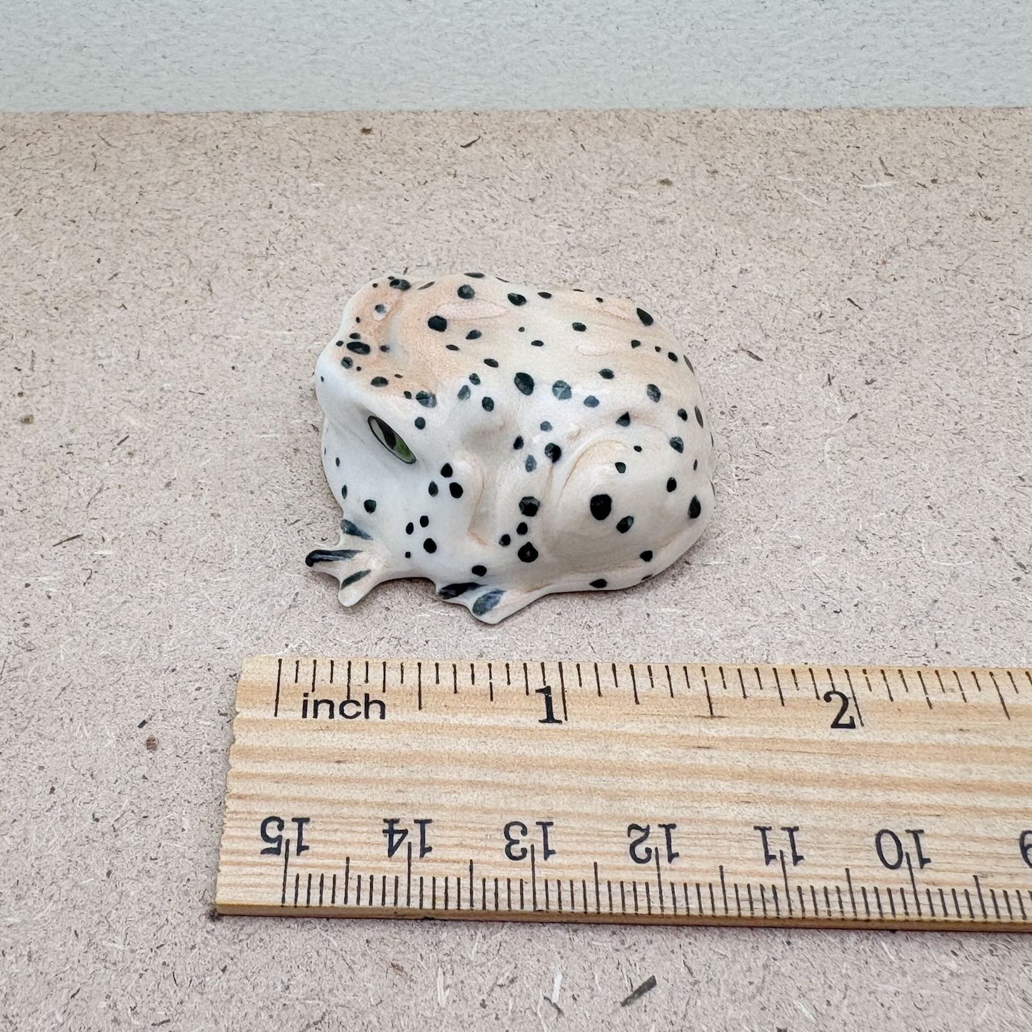Spotted Forest Frog