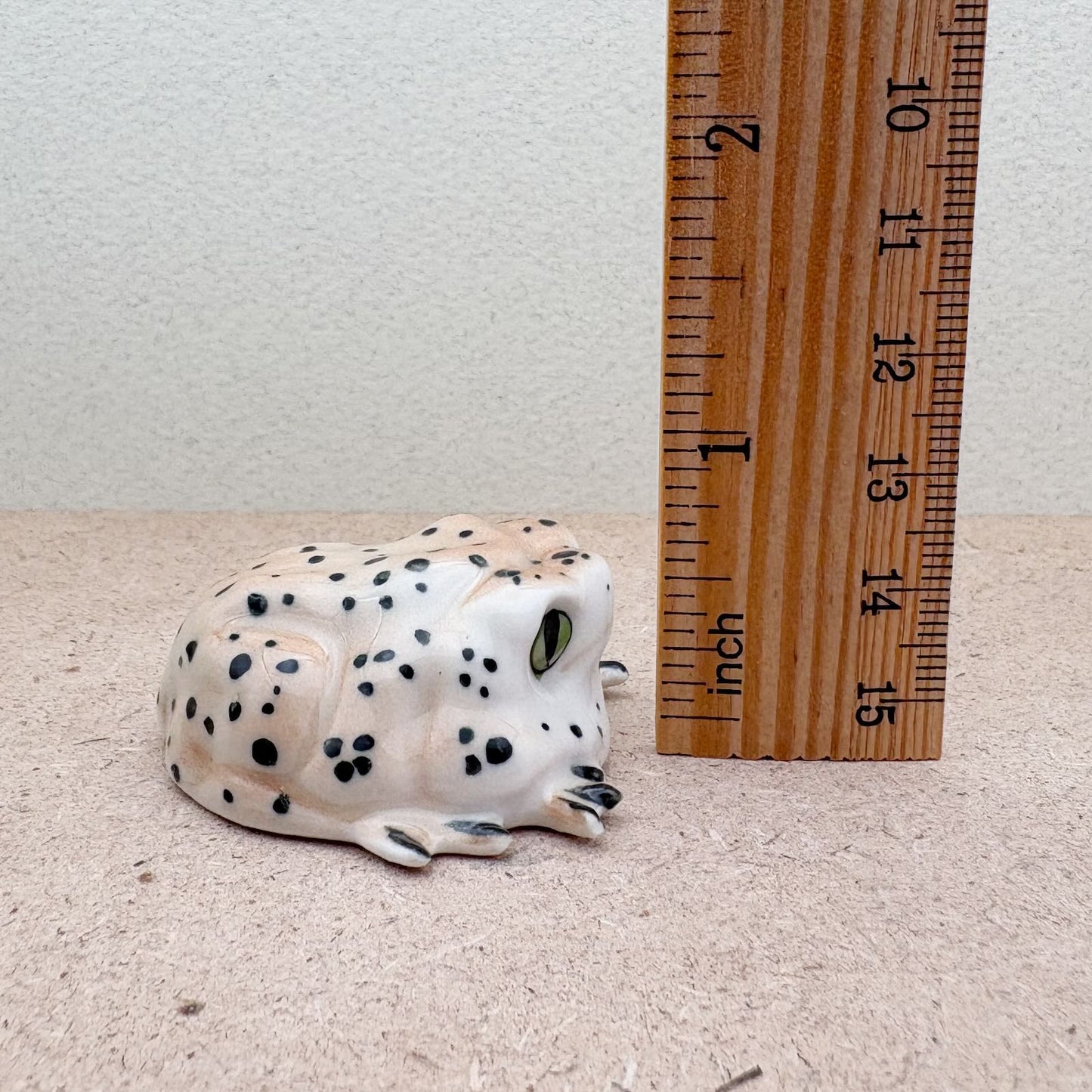 Spotted Forest Frog
