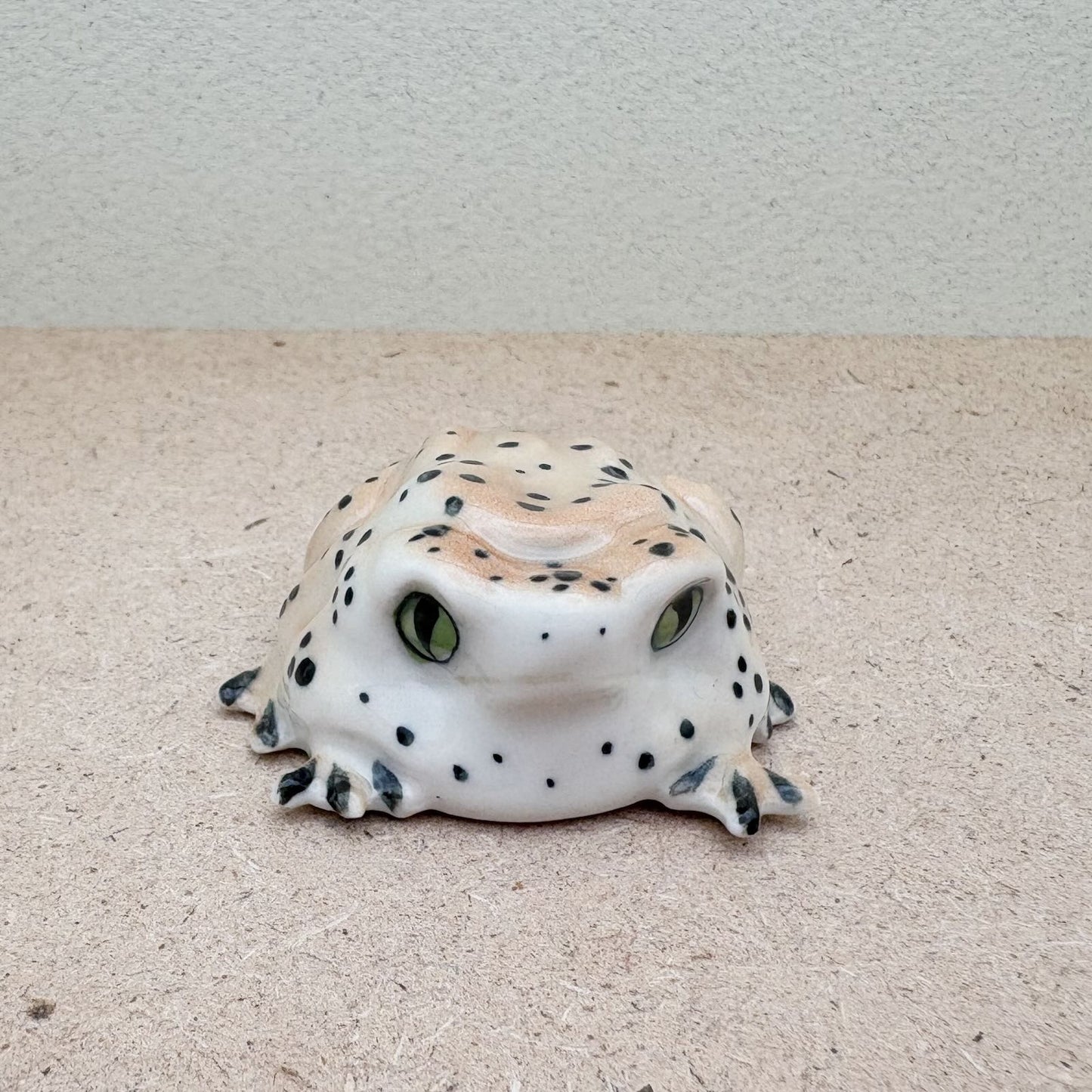 Spotted Forest Frog