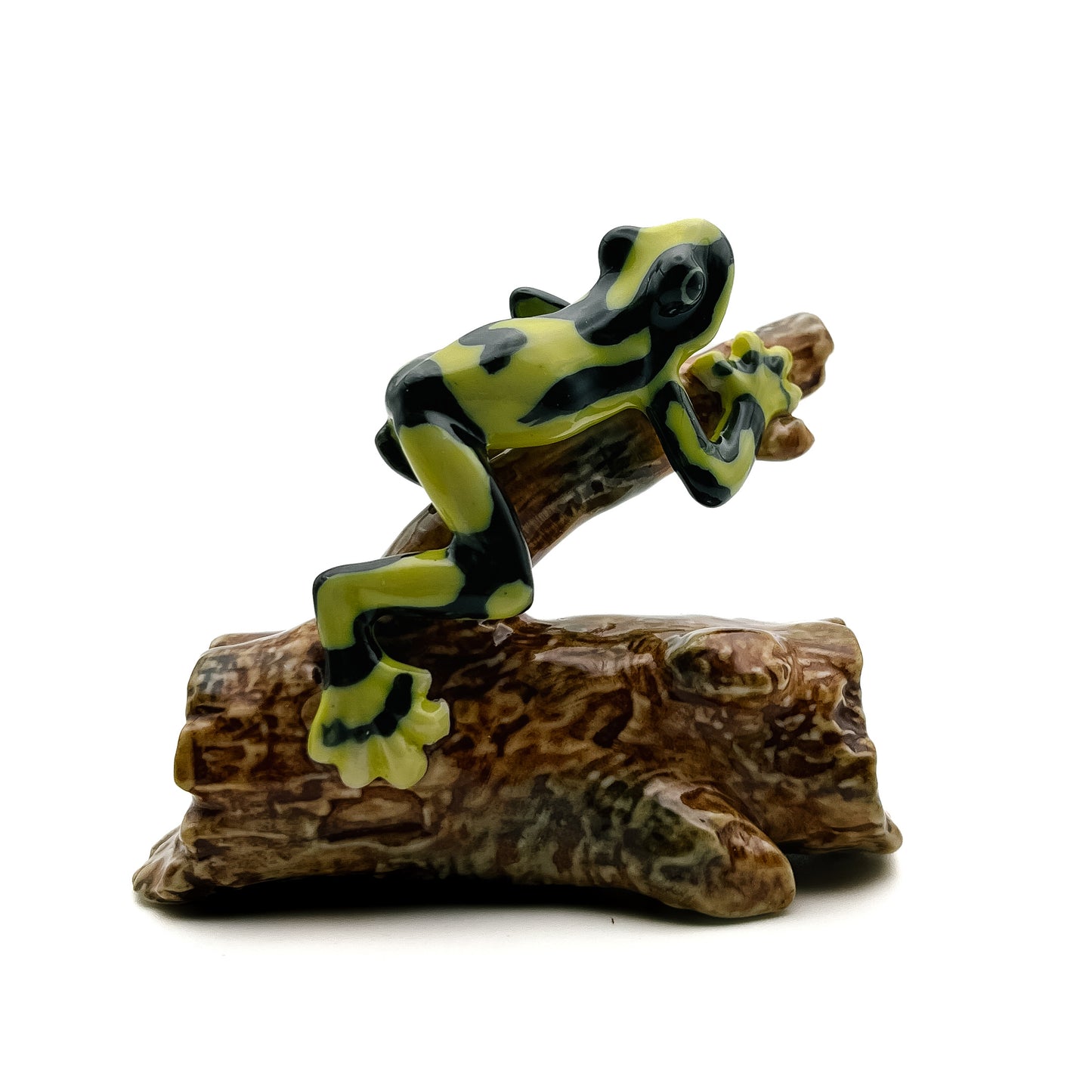 Tree-Top Climber - Frog on Branch