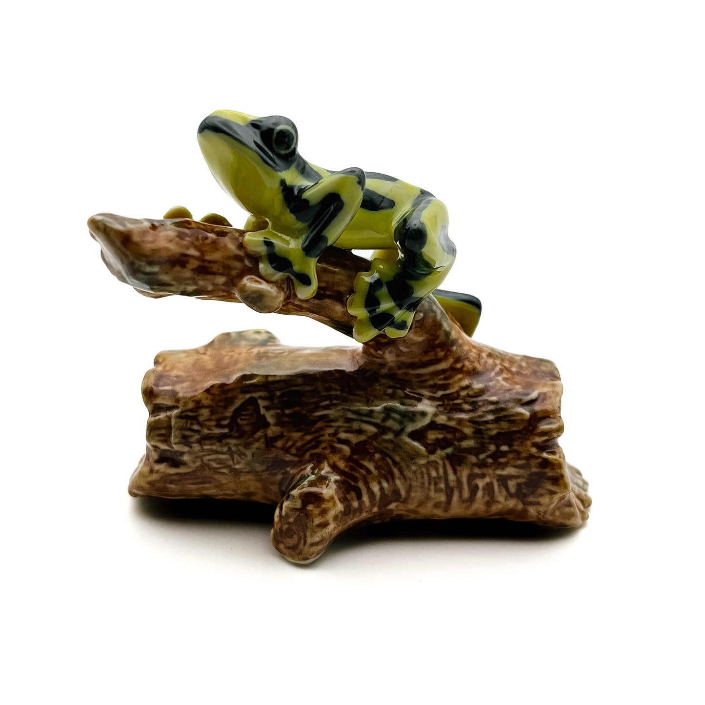 Tree-Top Climber - Frog on Branch