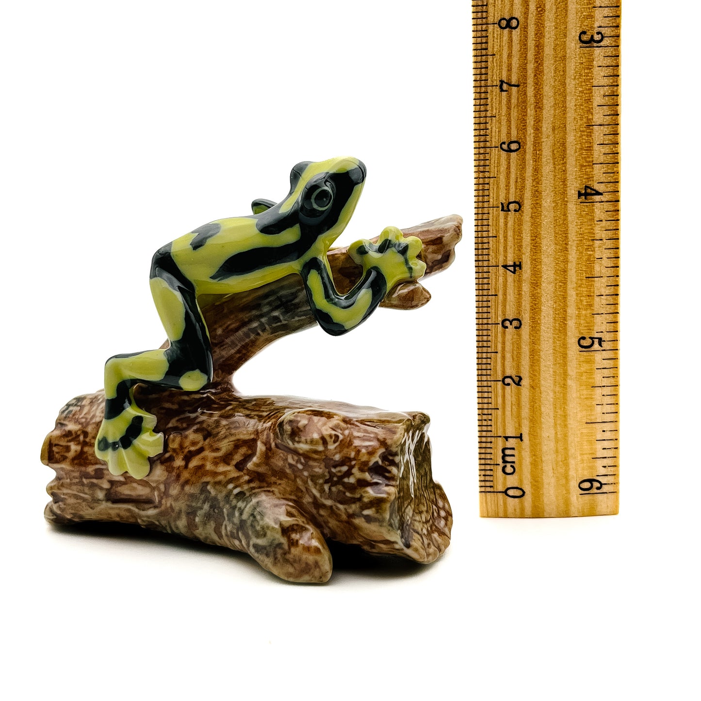 Tree-Top Climber - Frog on Branch