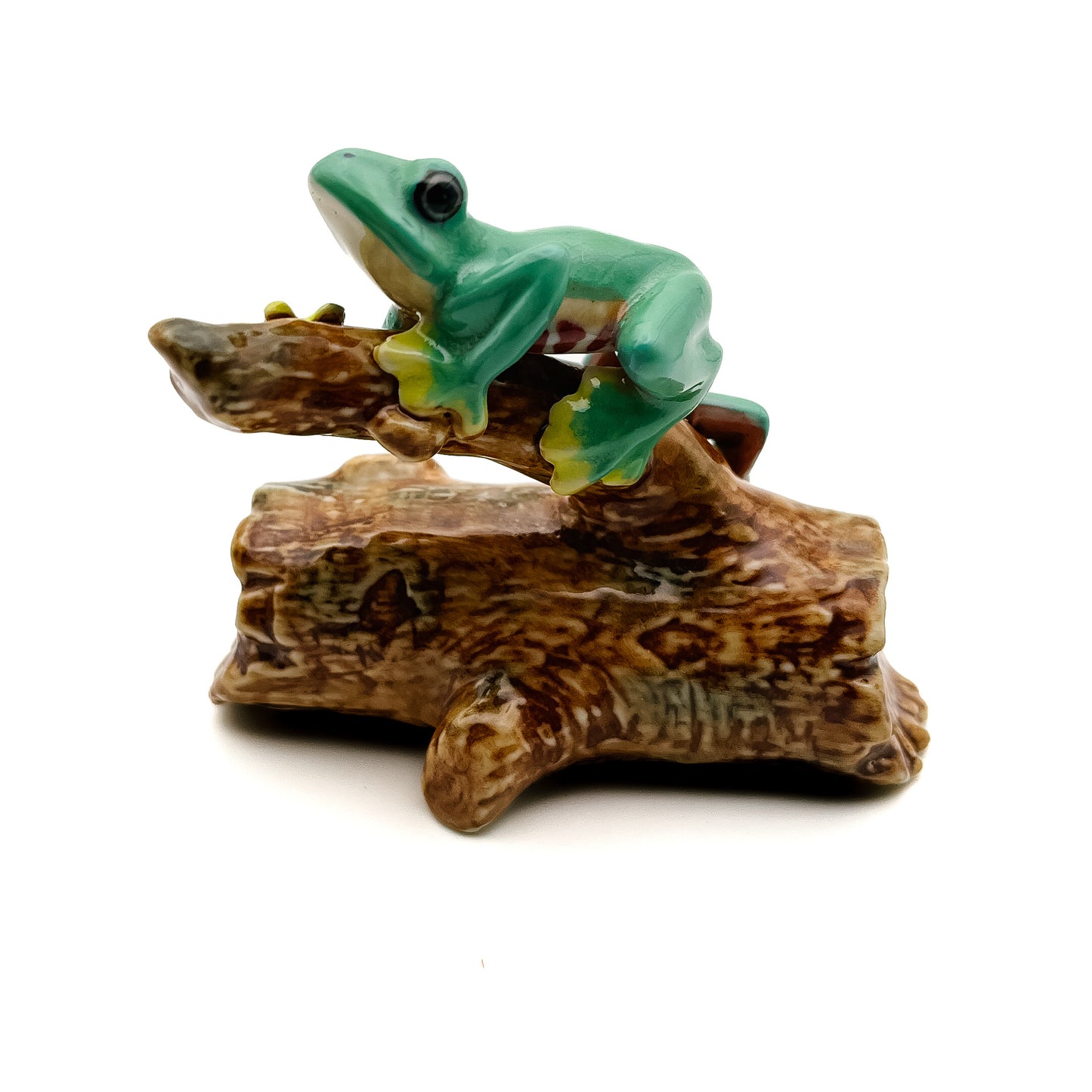 Tree-Top Climber - Frog on Branch