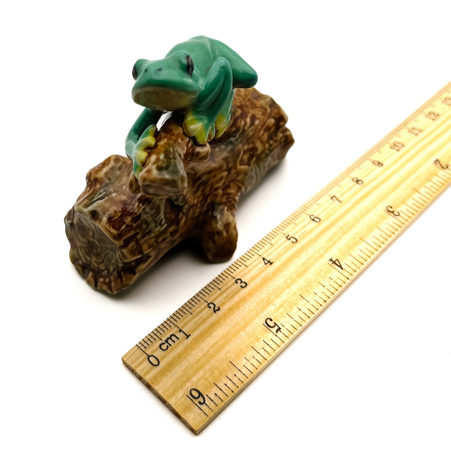 Tree-Top Climber - Frog on Branch