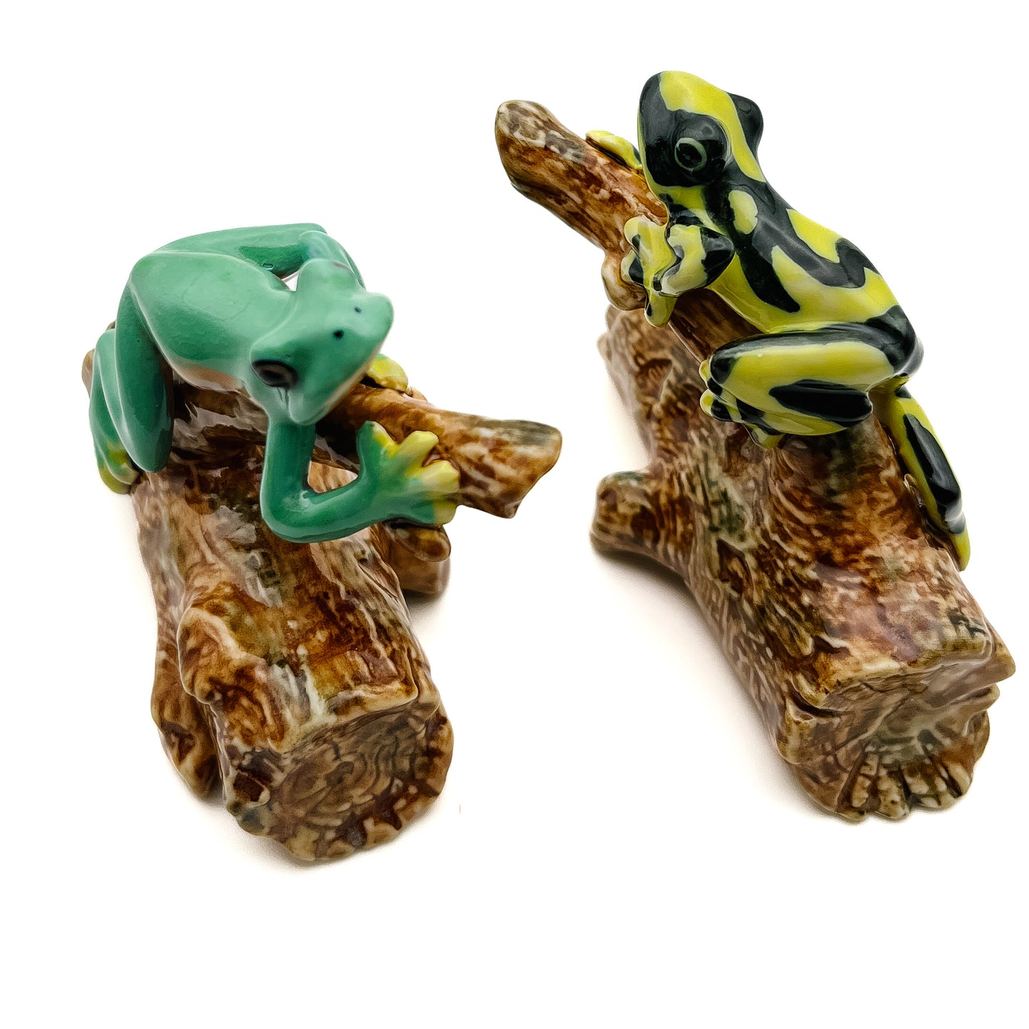 Tree-Top Climber - Frog on Branch