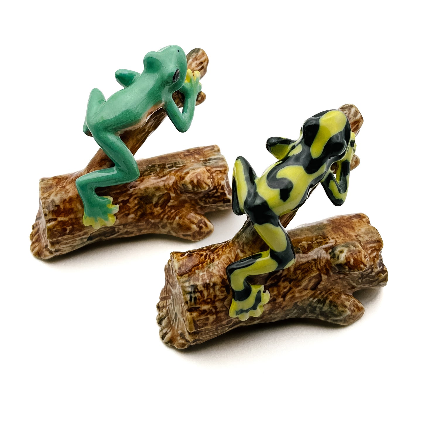 Tree-Top Climber - Frog on Branch