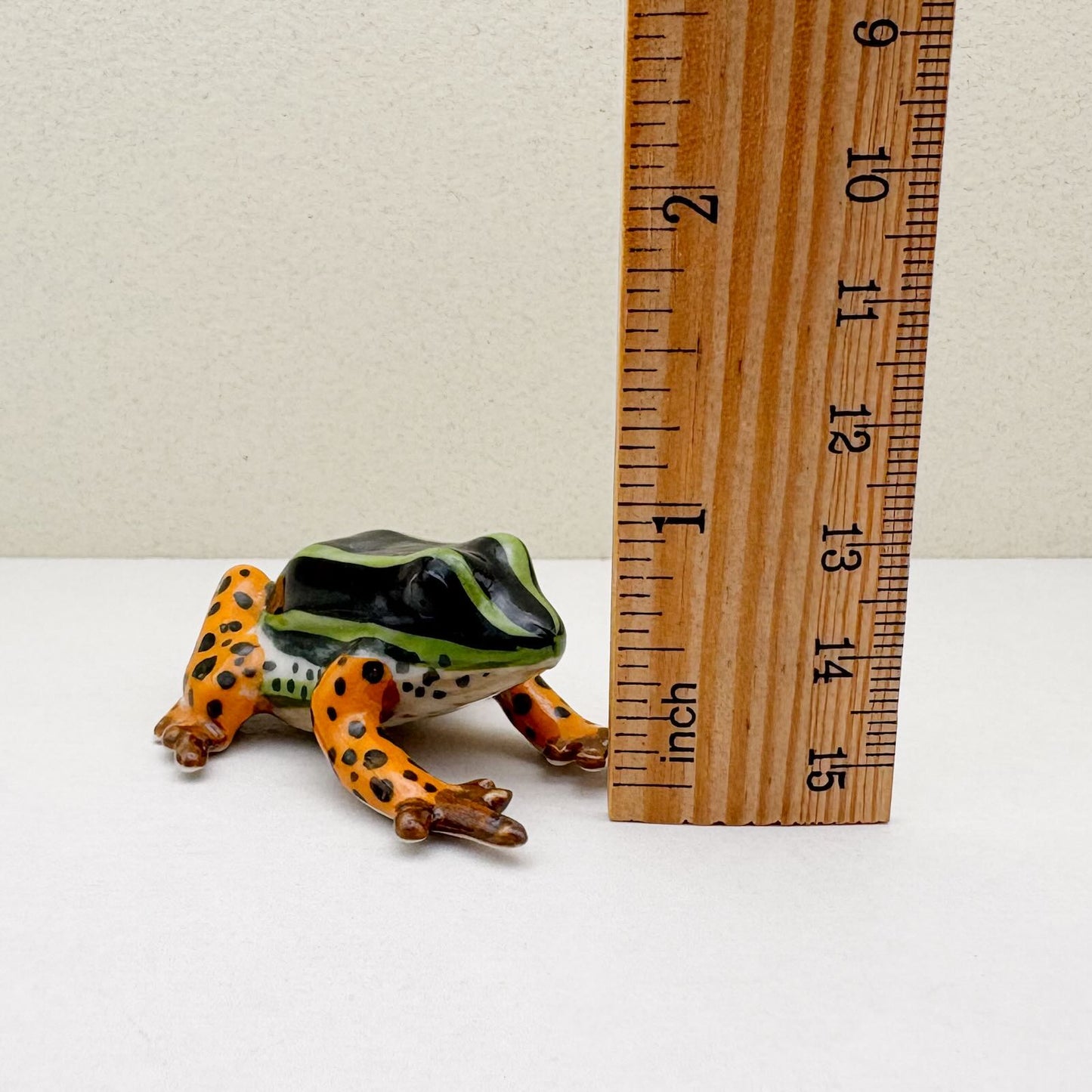 Rio Madeira Poison Dart Frog