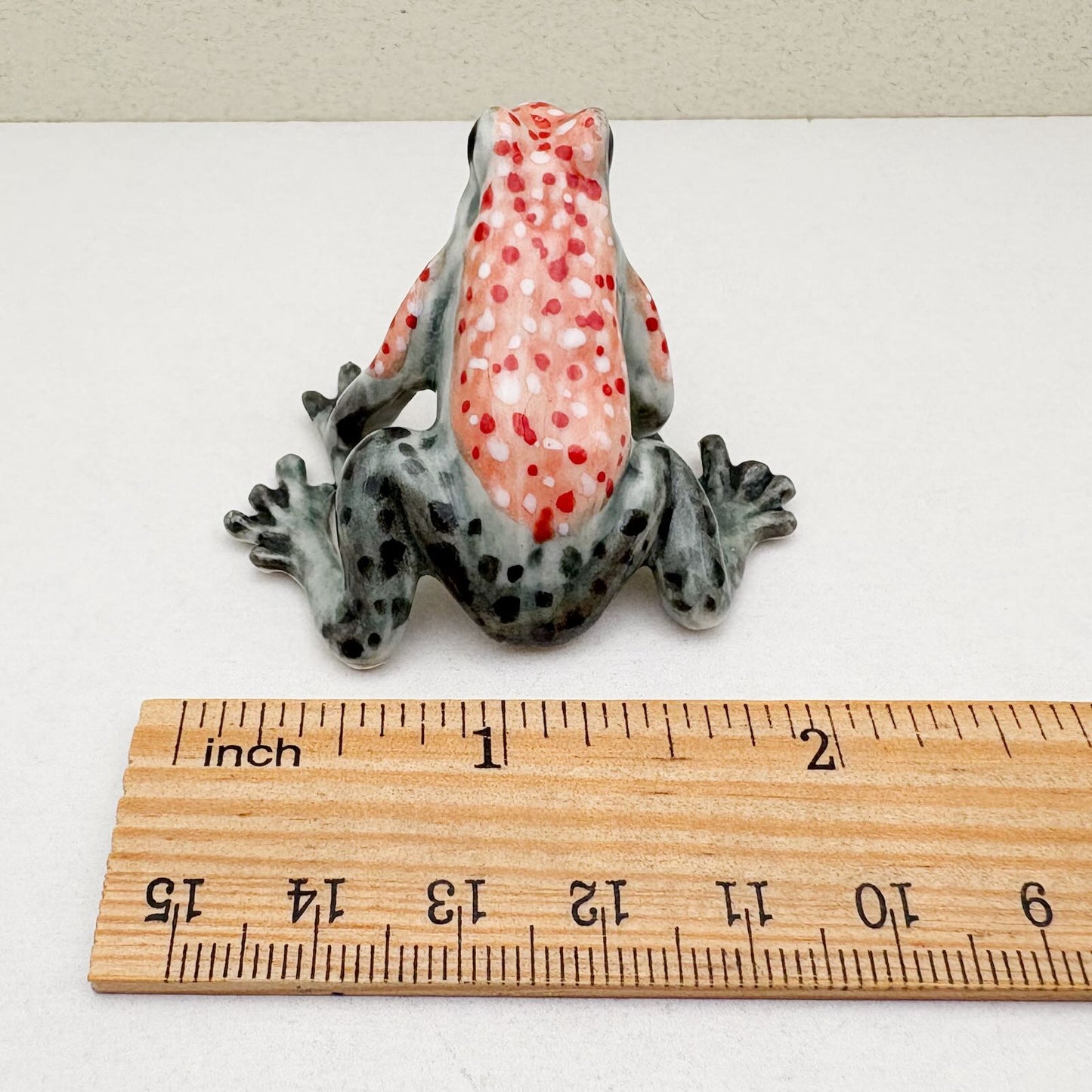 Granular Poison Frog