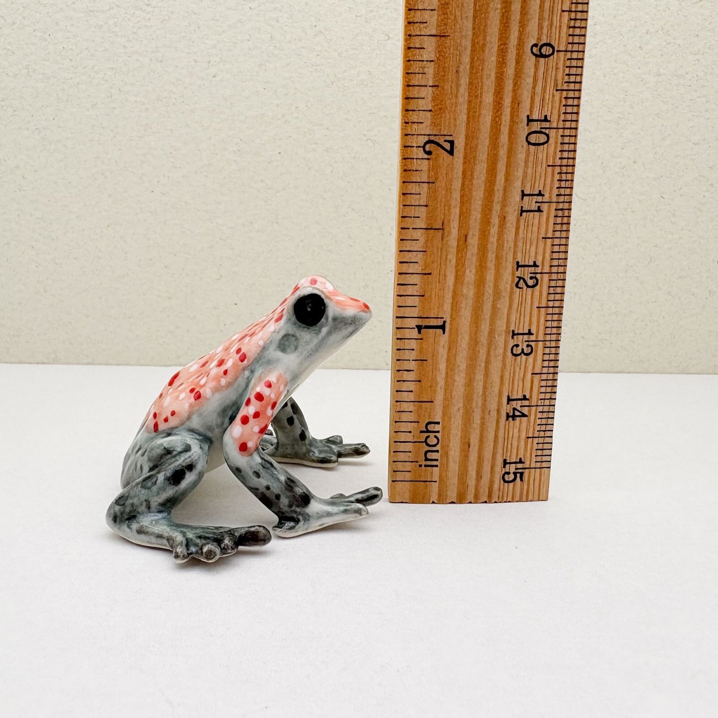 Granular Poison Frog