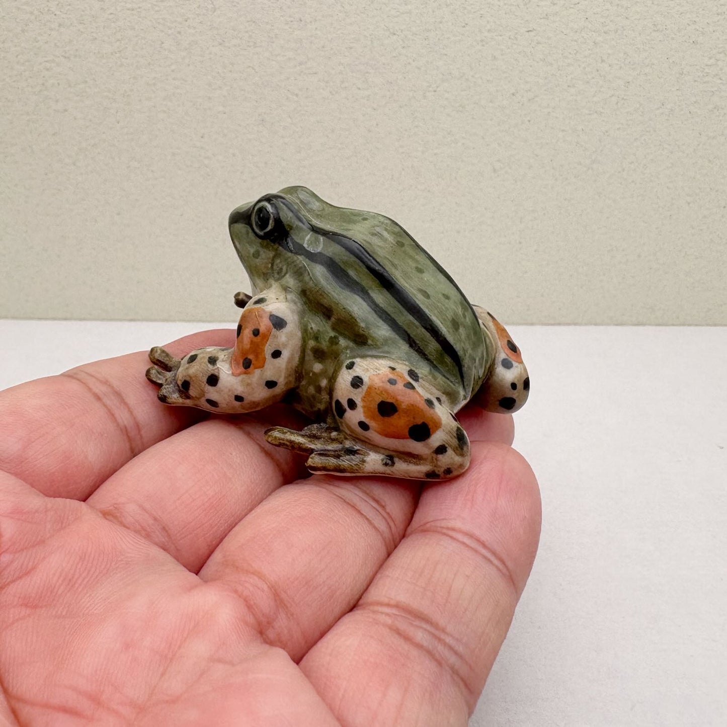 Green Striped Frog