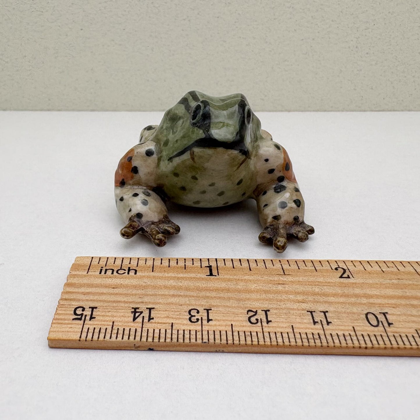 Green Striped Frog