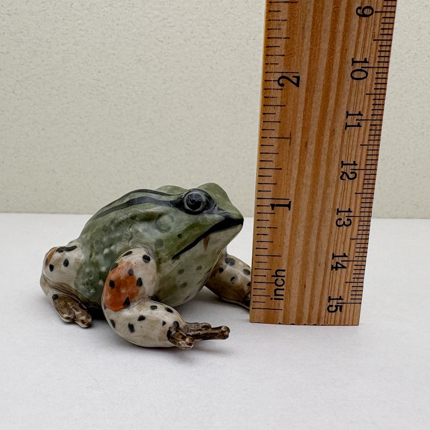 Green Striped Frog