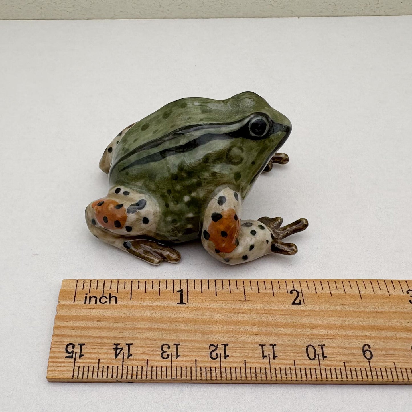 Green Striped Frog