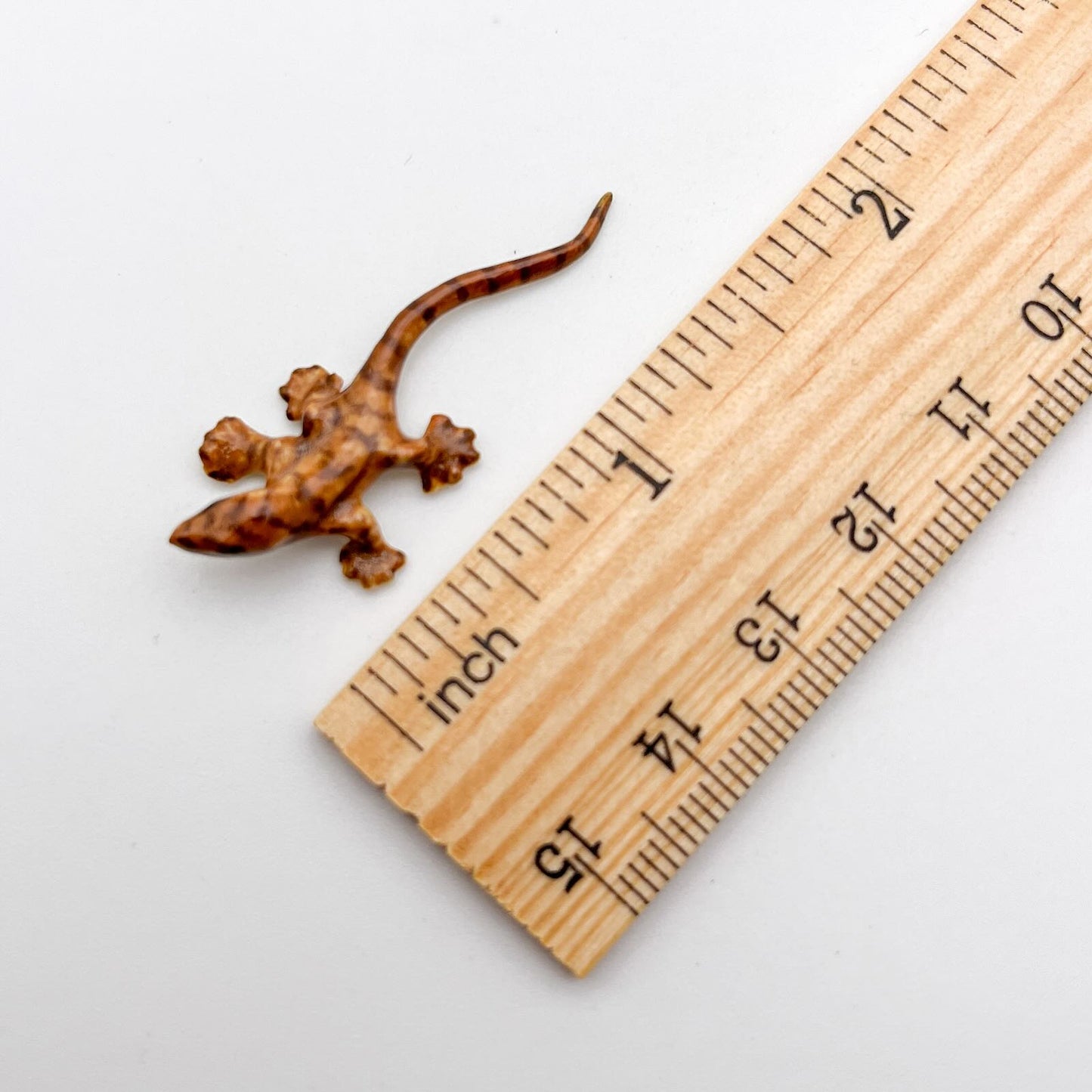 Tiny Gecko