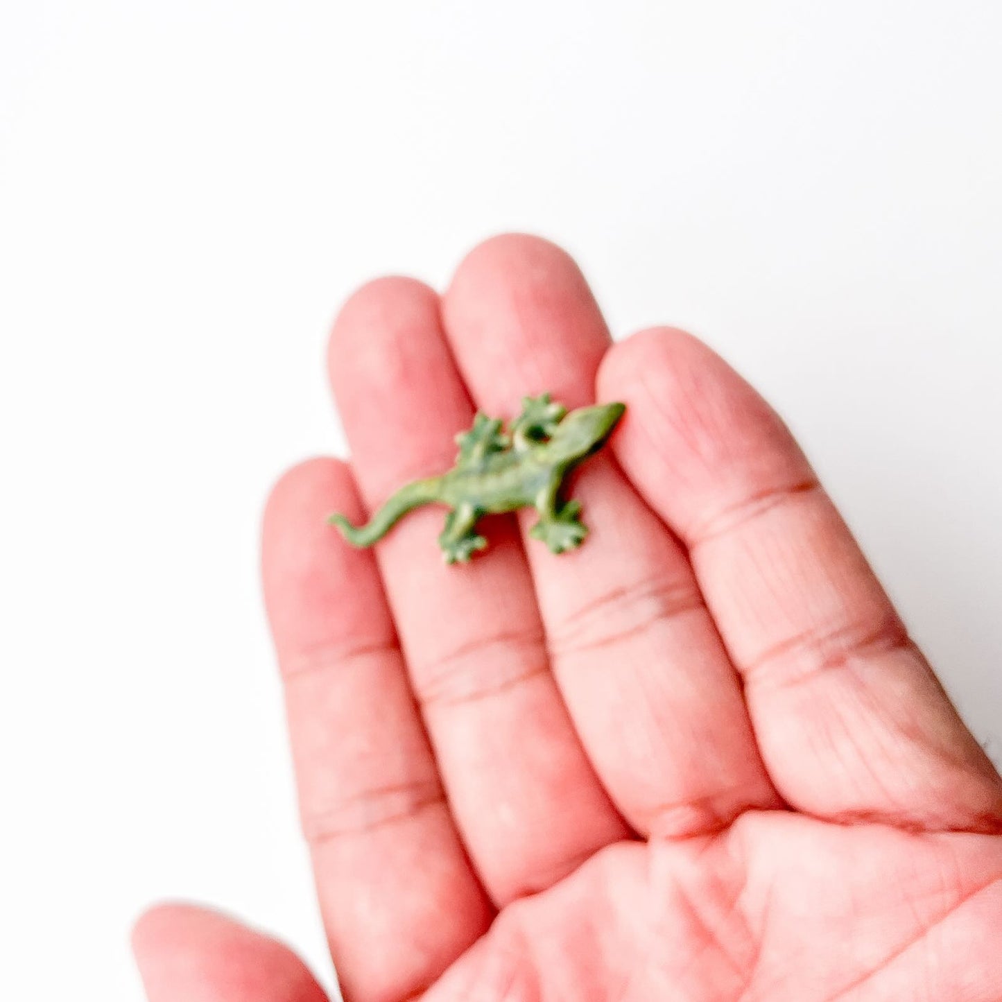 Tiny Gecko