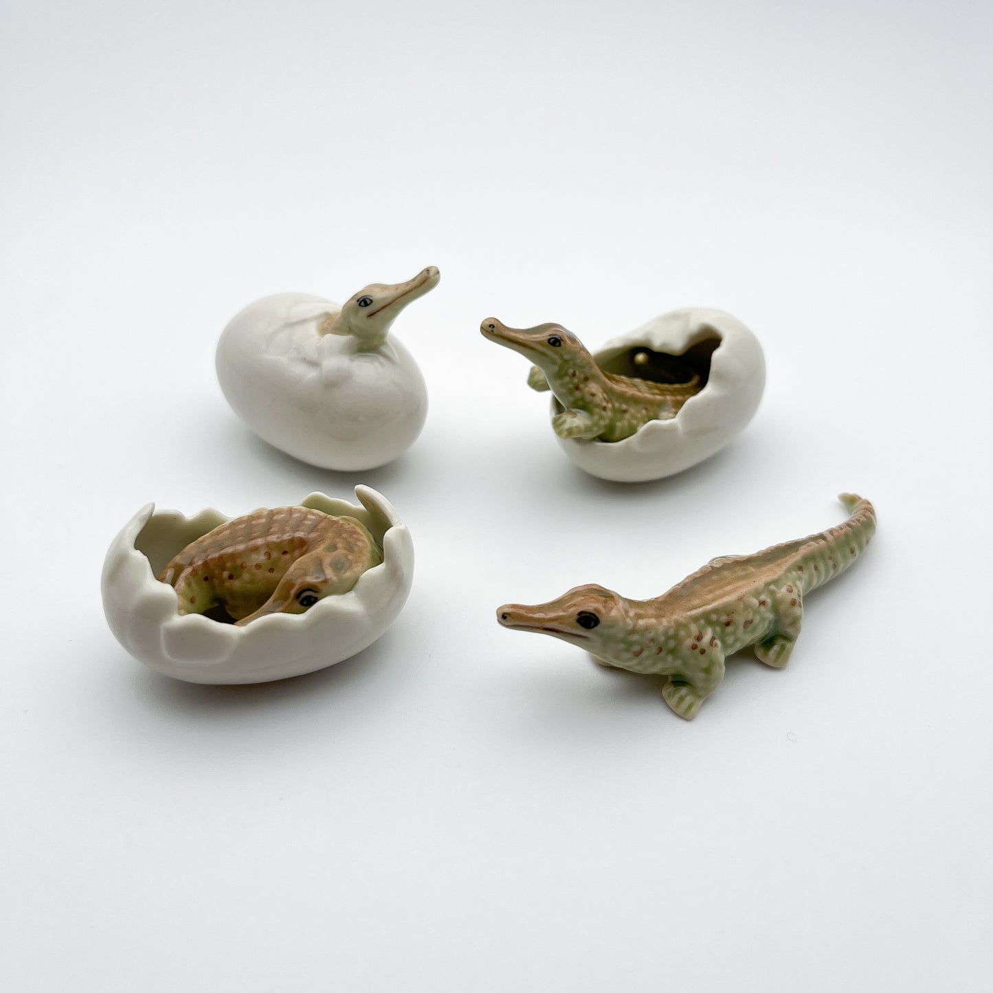 4 Crocodile babies with eggs