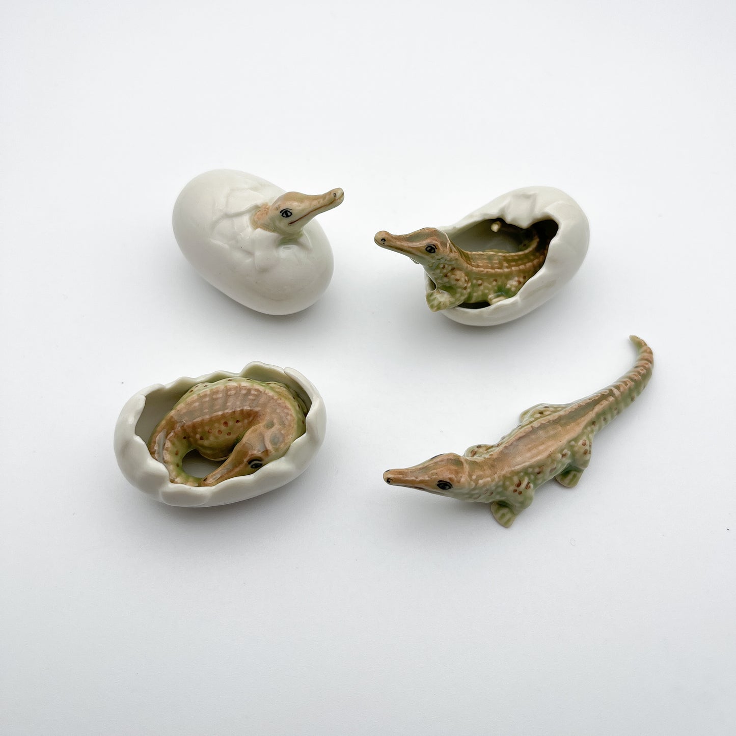 4 Crocodile babies with eggs