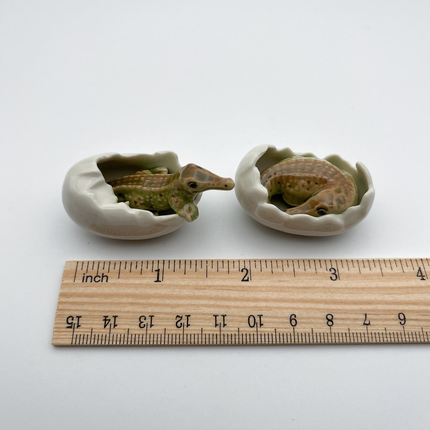 4 Crocodile babies with eggs