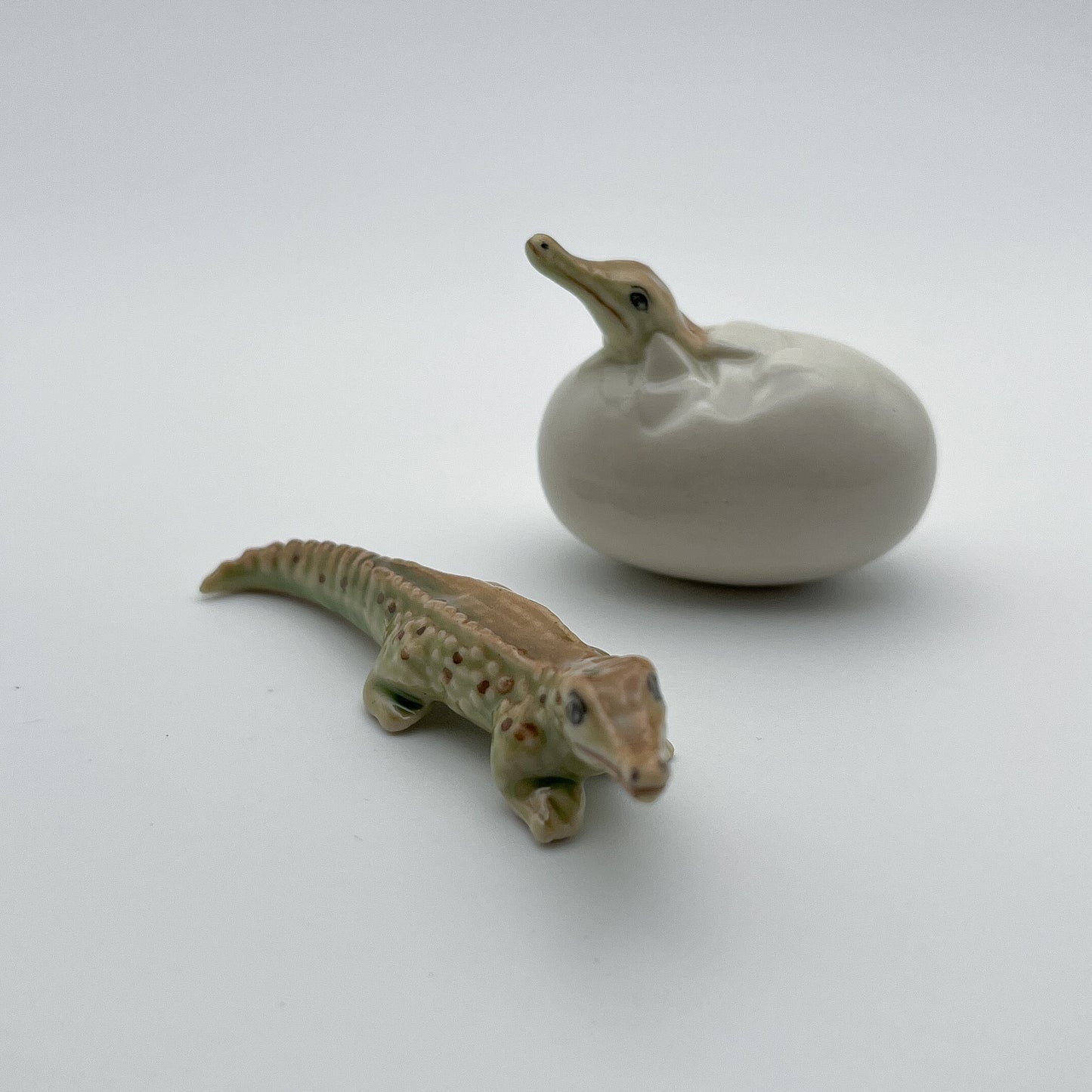 4 Crocodile babies with eggs