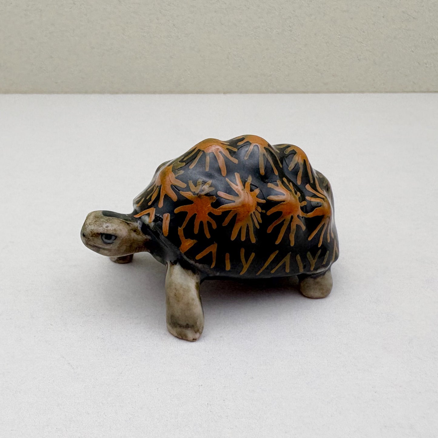 Turtle Radiata
