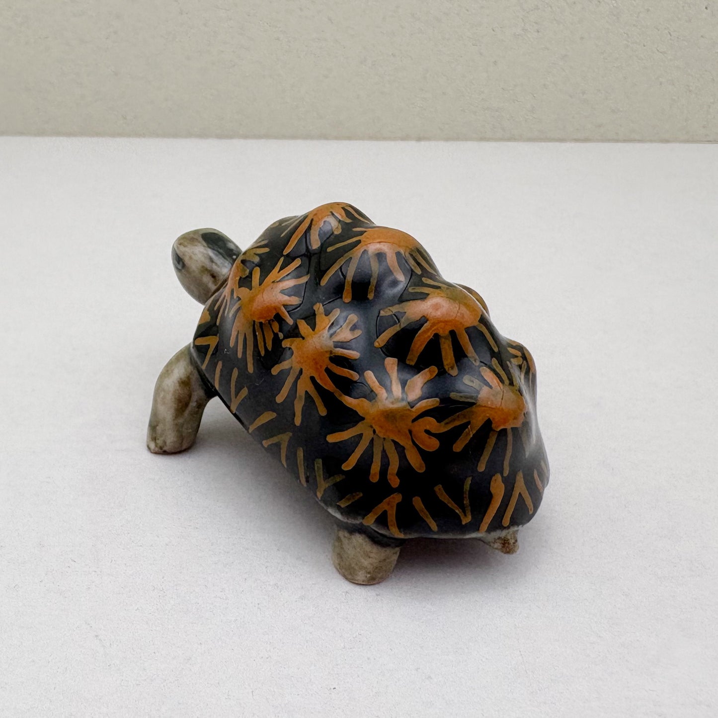 Turtle Radiata