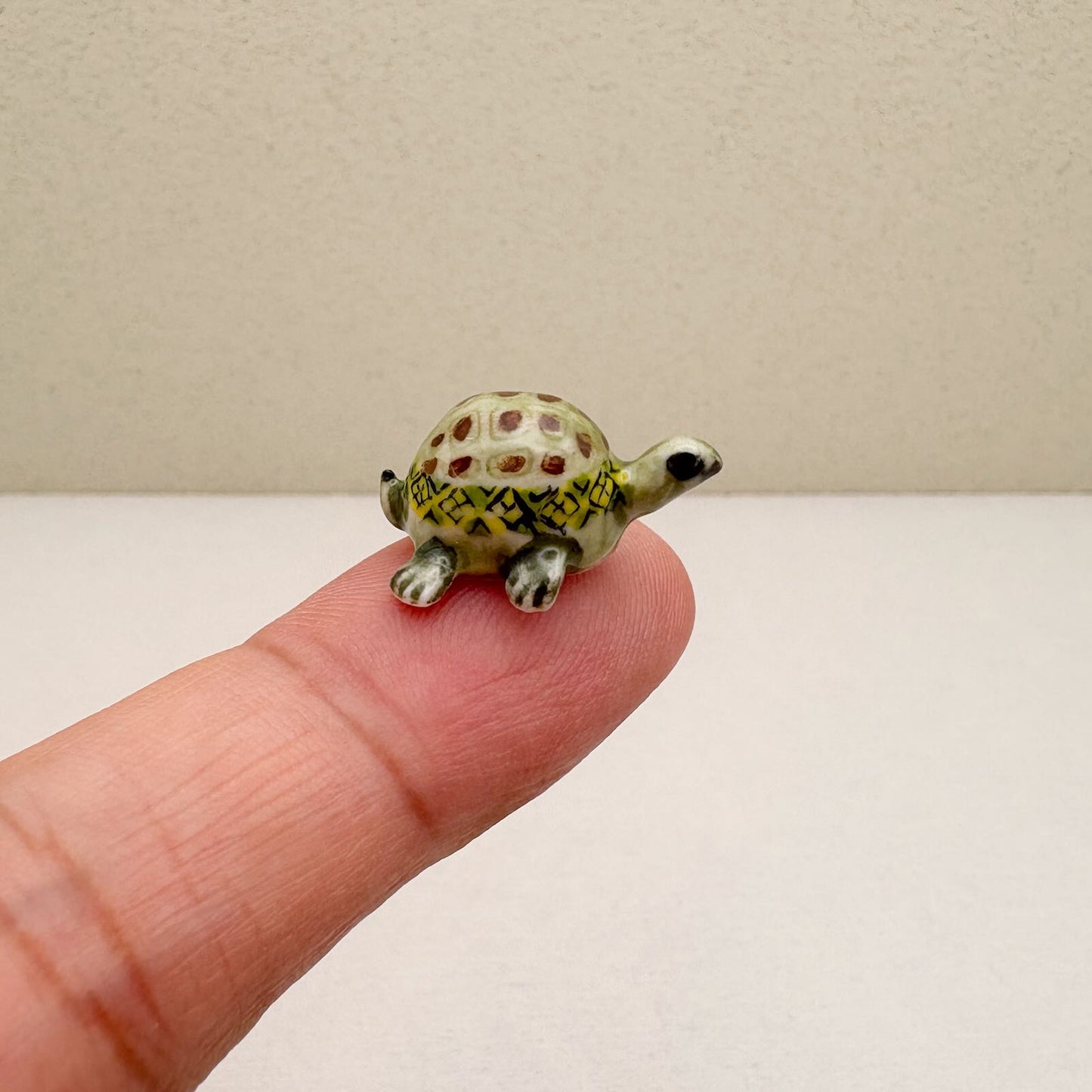 Tiny Terra Tortoise