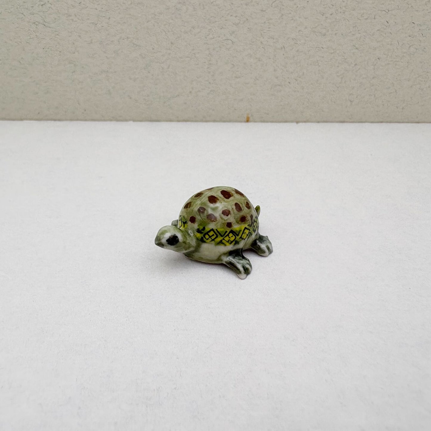Tiny Terra Tortoise