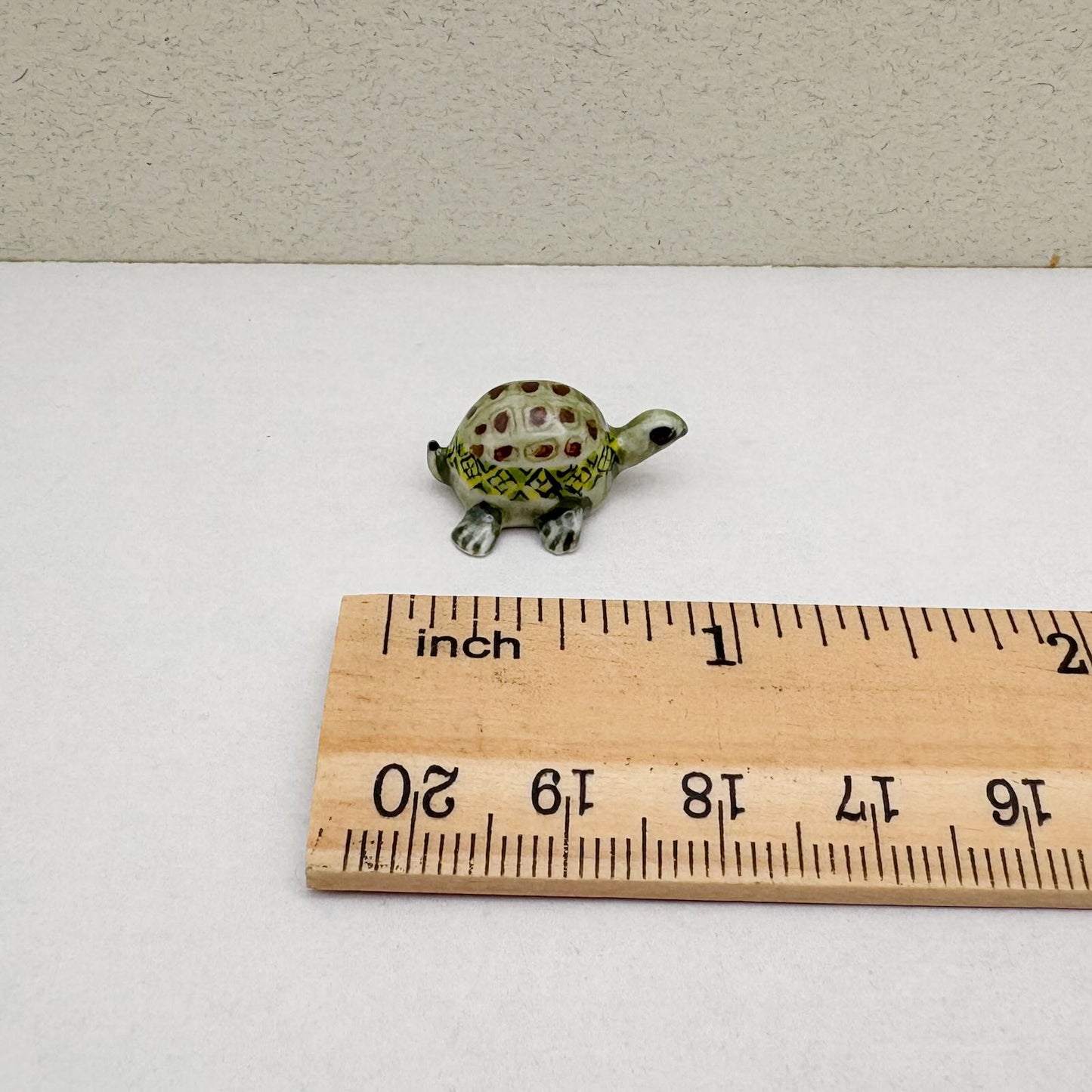 Tiny Terra Tortoise