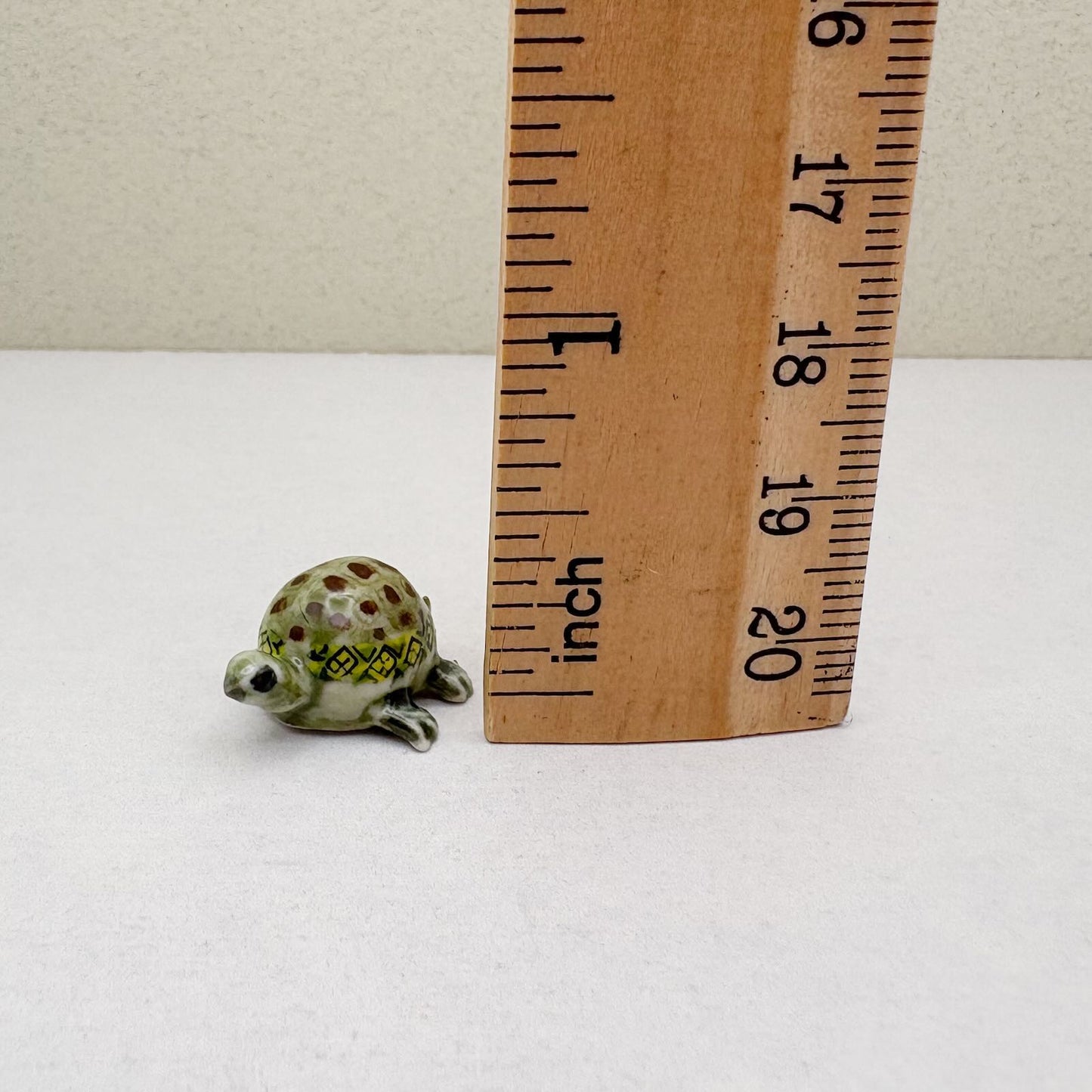 Tiny Terra Tortoise
