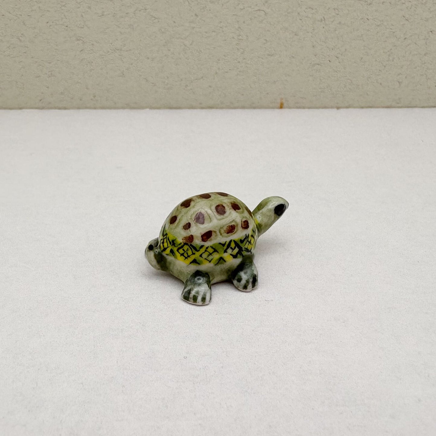 Tiny Terra Tortoise