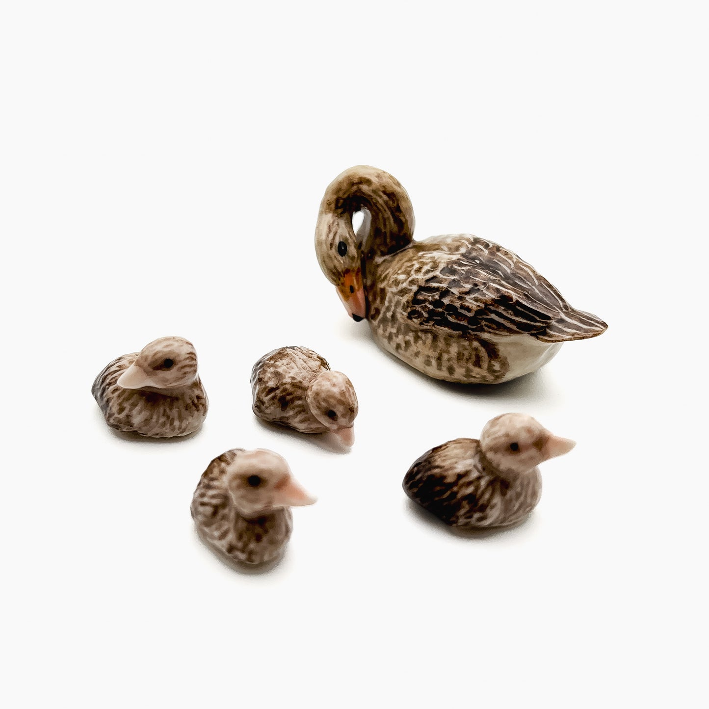 Duck Family