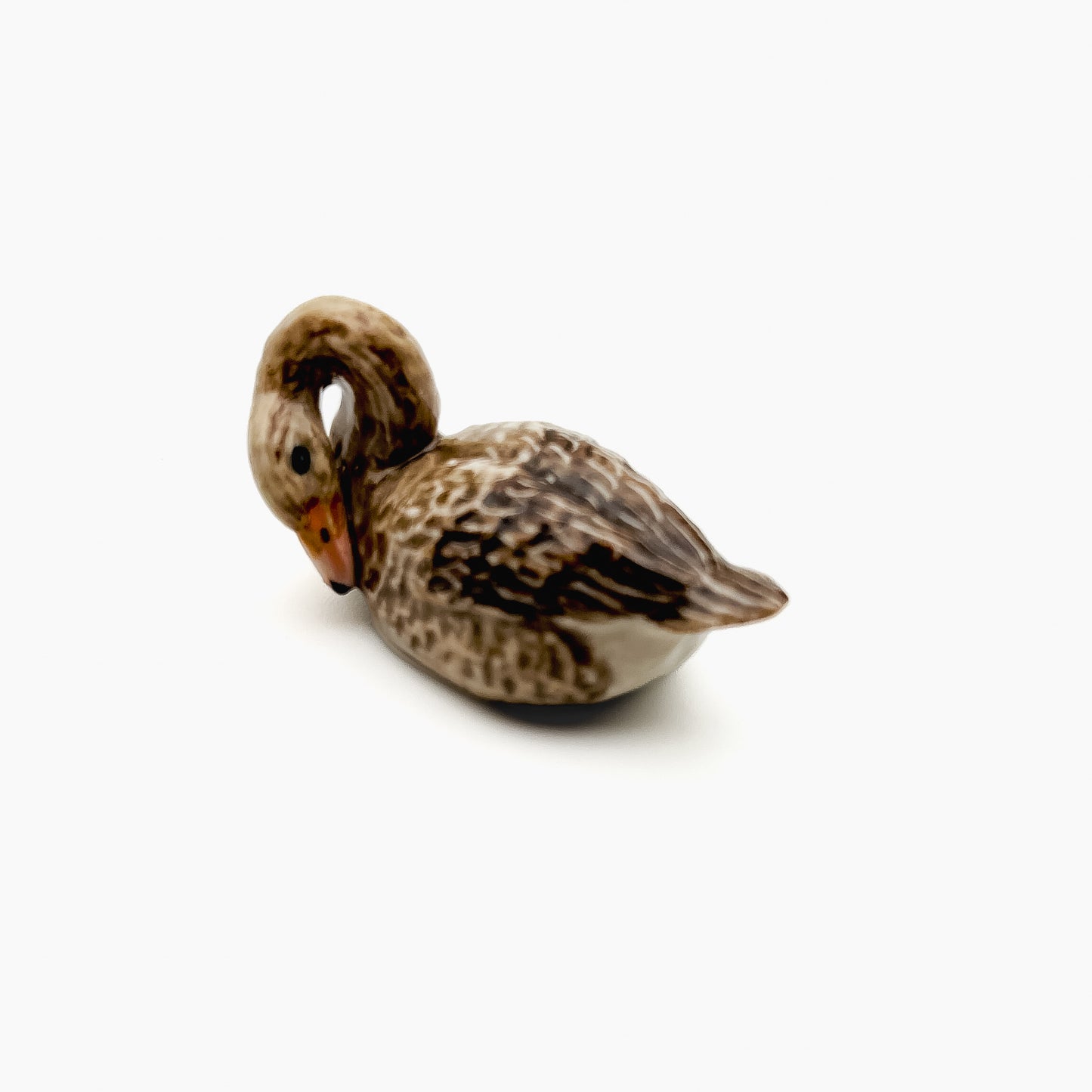 Duck Family