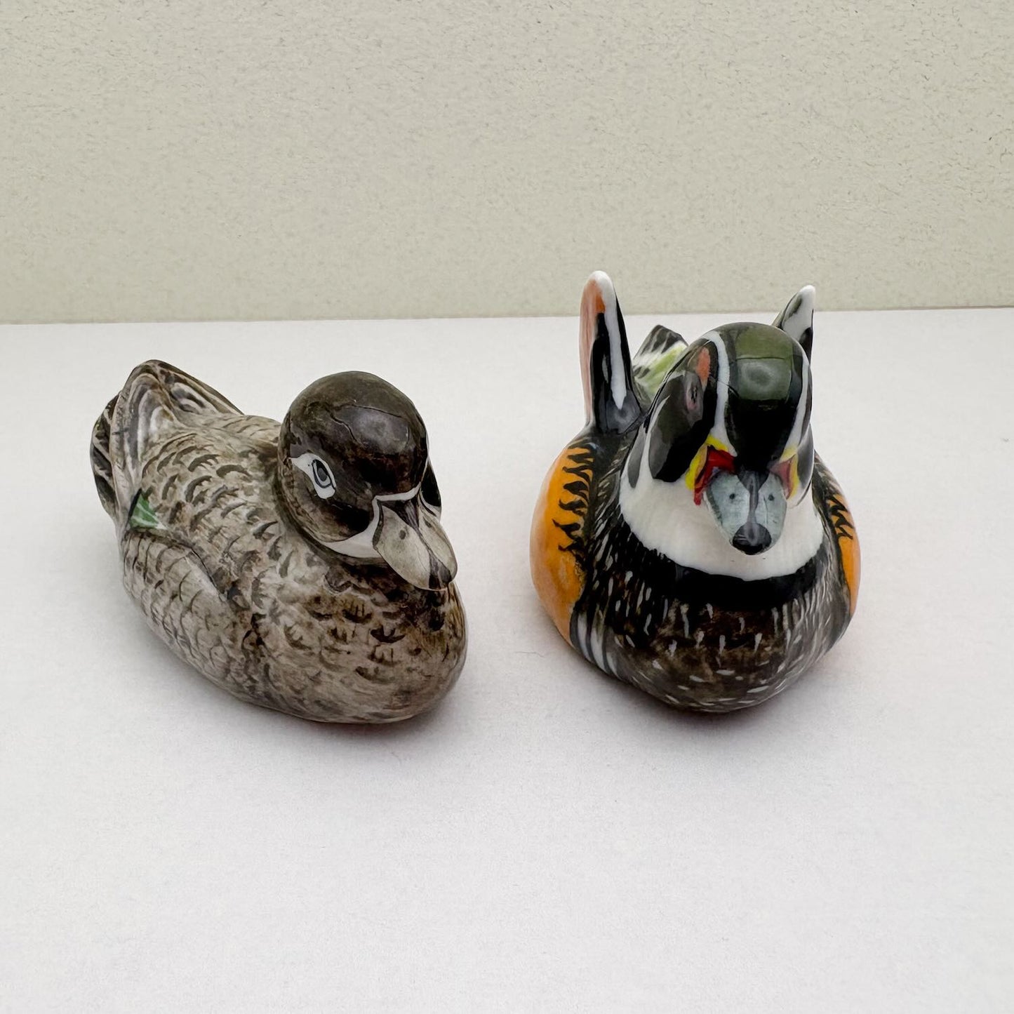 Wood Duck Pair