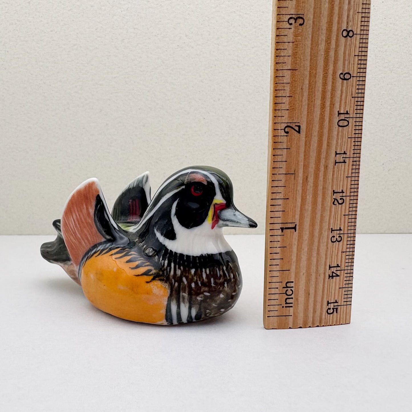 Wood Duck Pair
