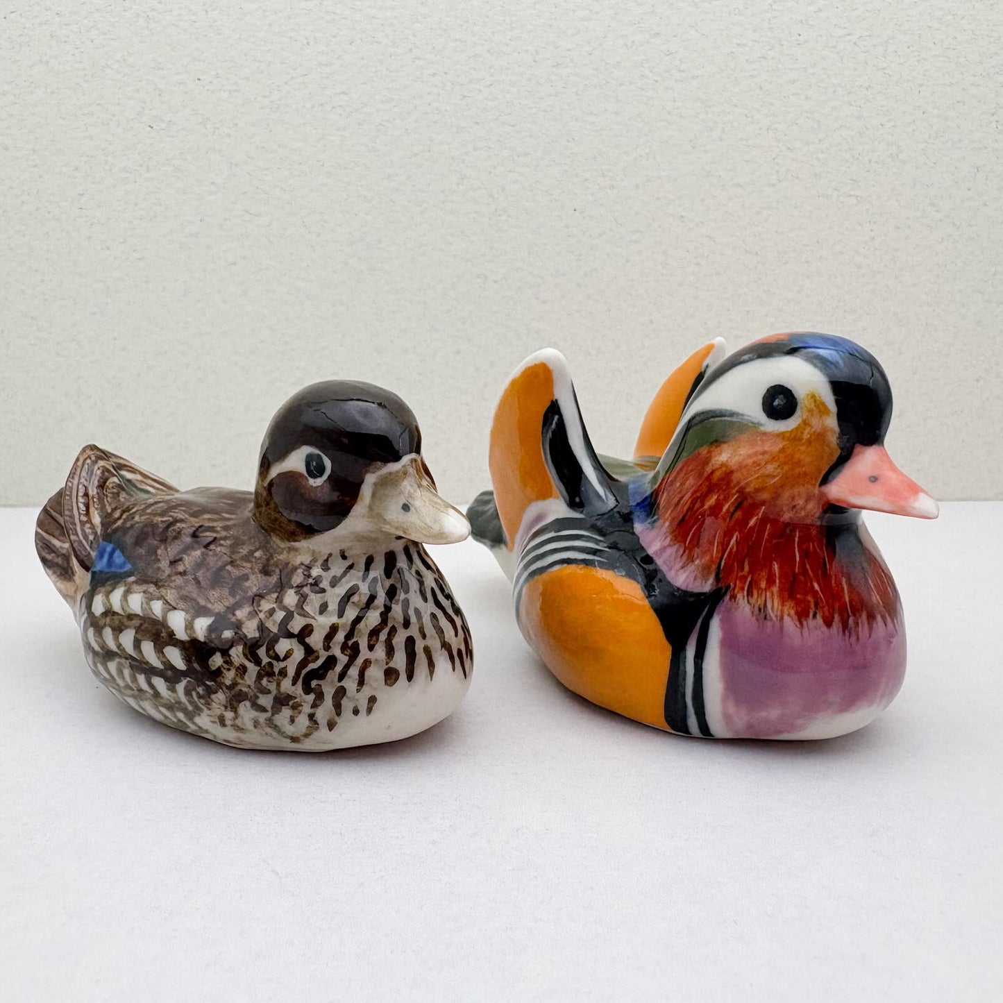Mandarin Duck Couple