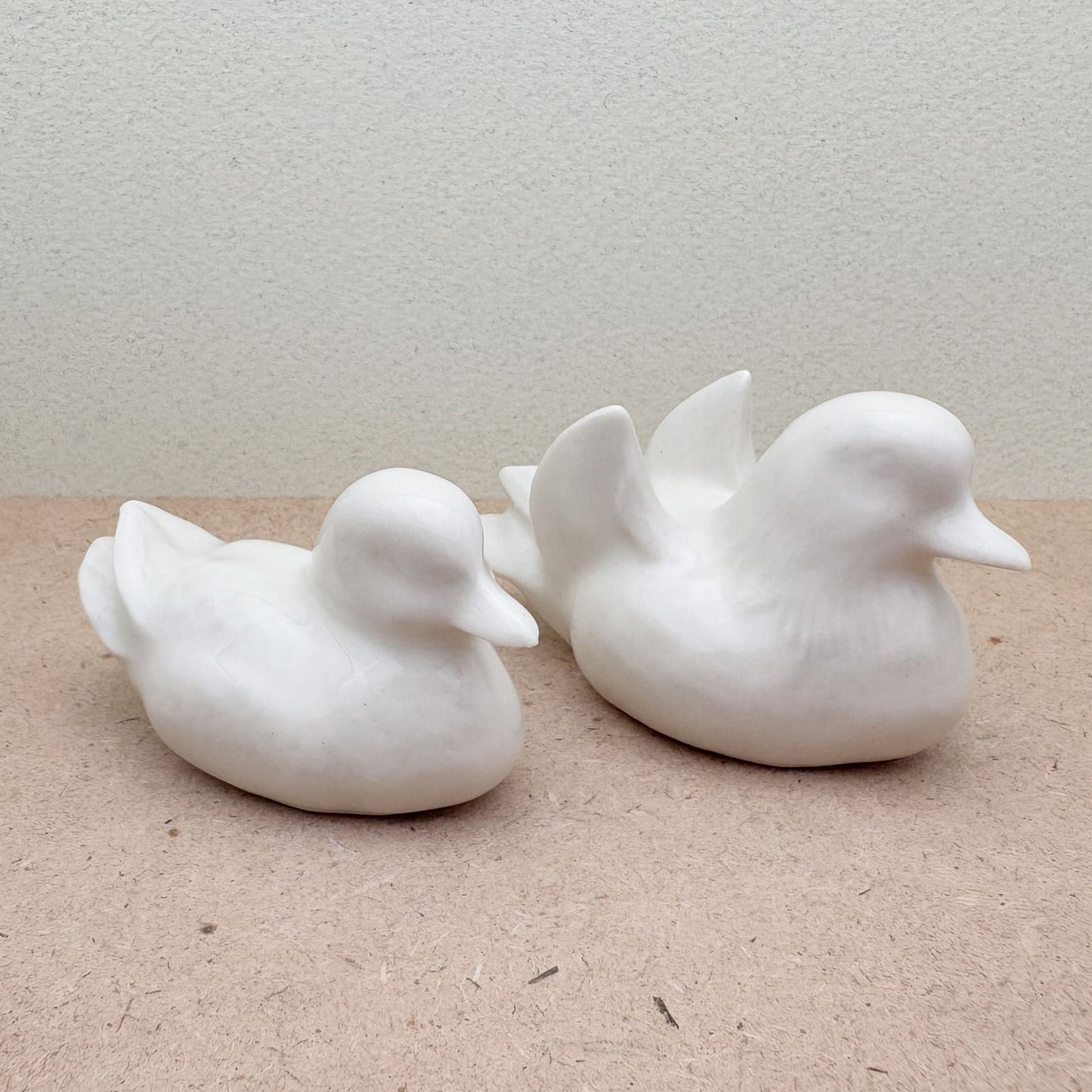Serene White Duck Couple