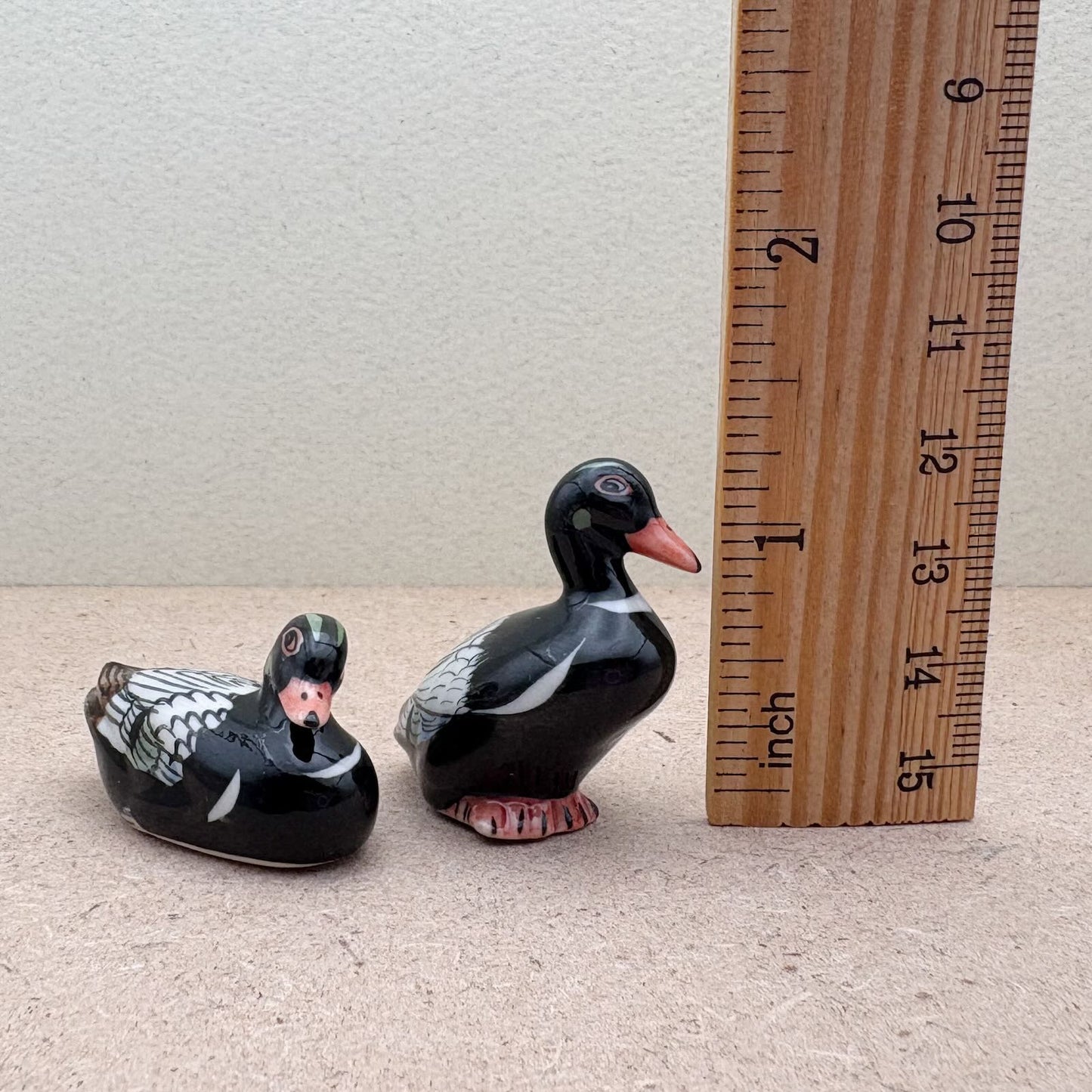 Elegant Black & White Duck Set