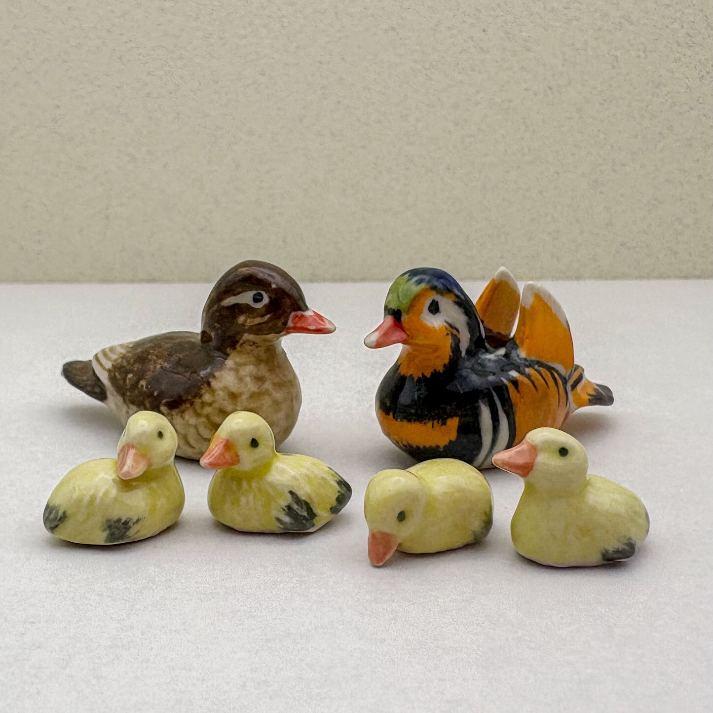 Mandarin Duck Family