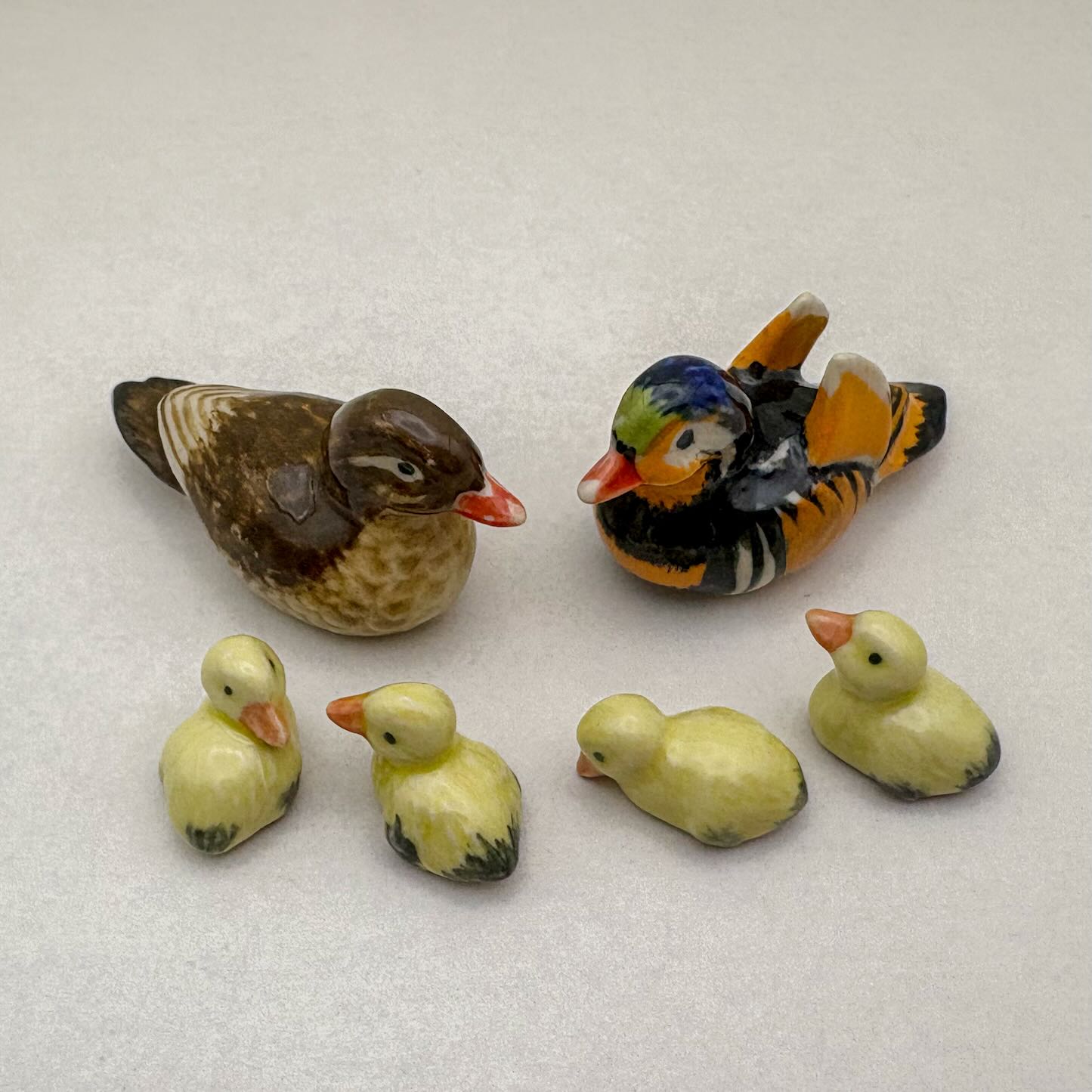 Mandarin Duck Family