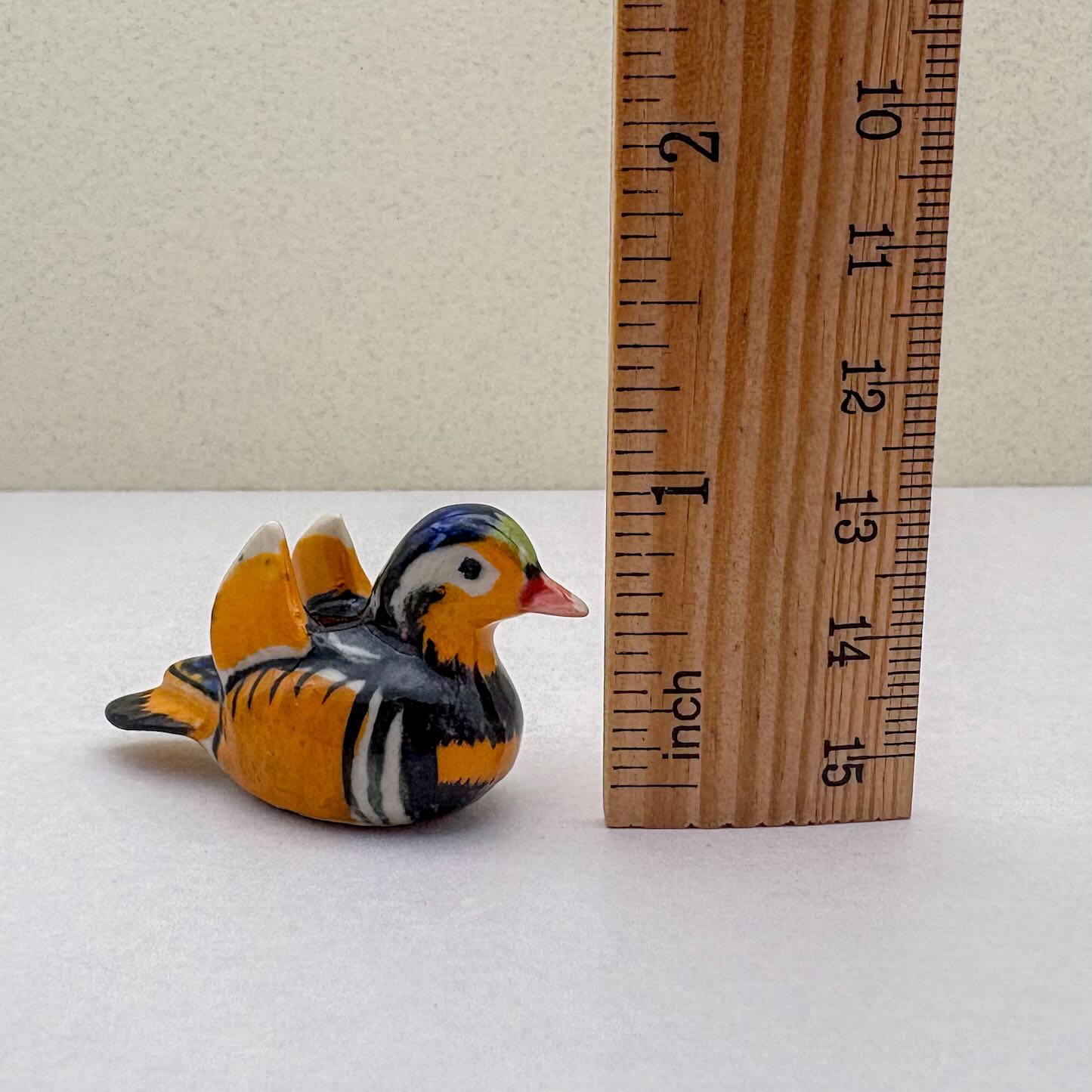 Mandarin Duck Family