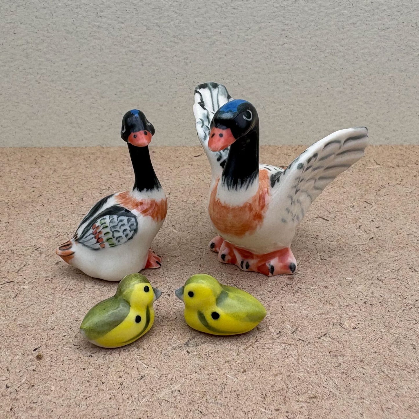 Charming Duck Family