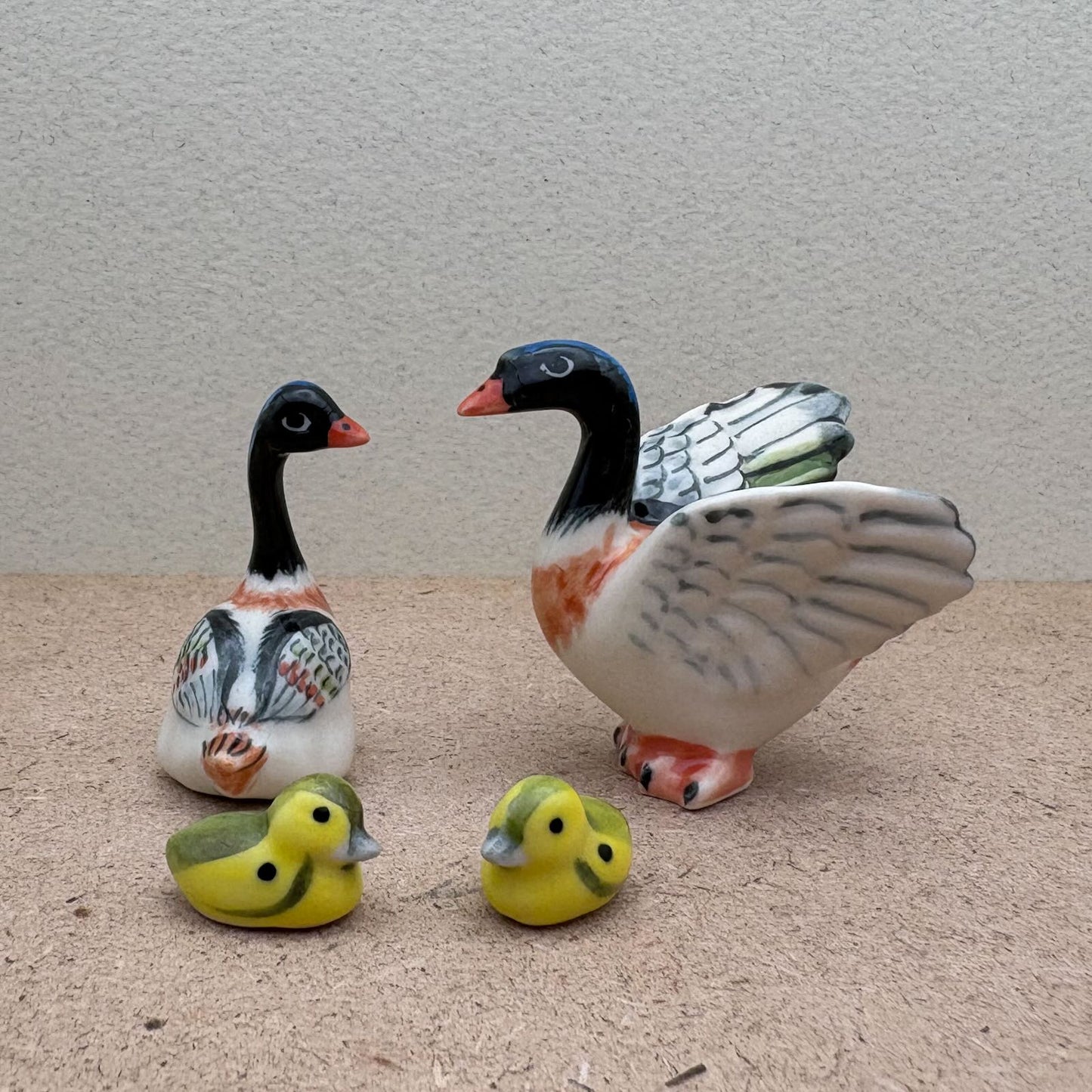 Charming Duck Family