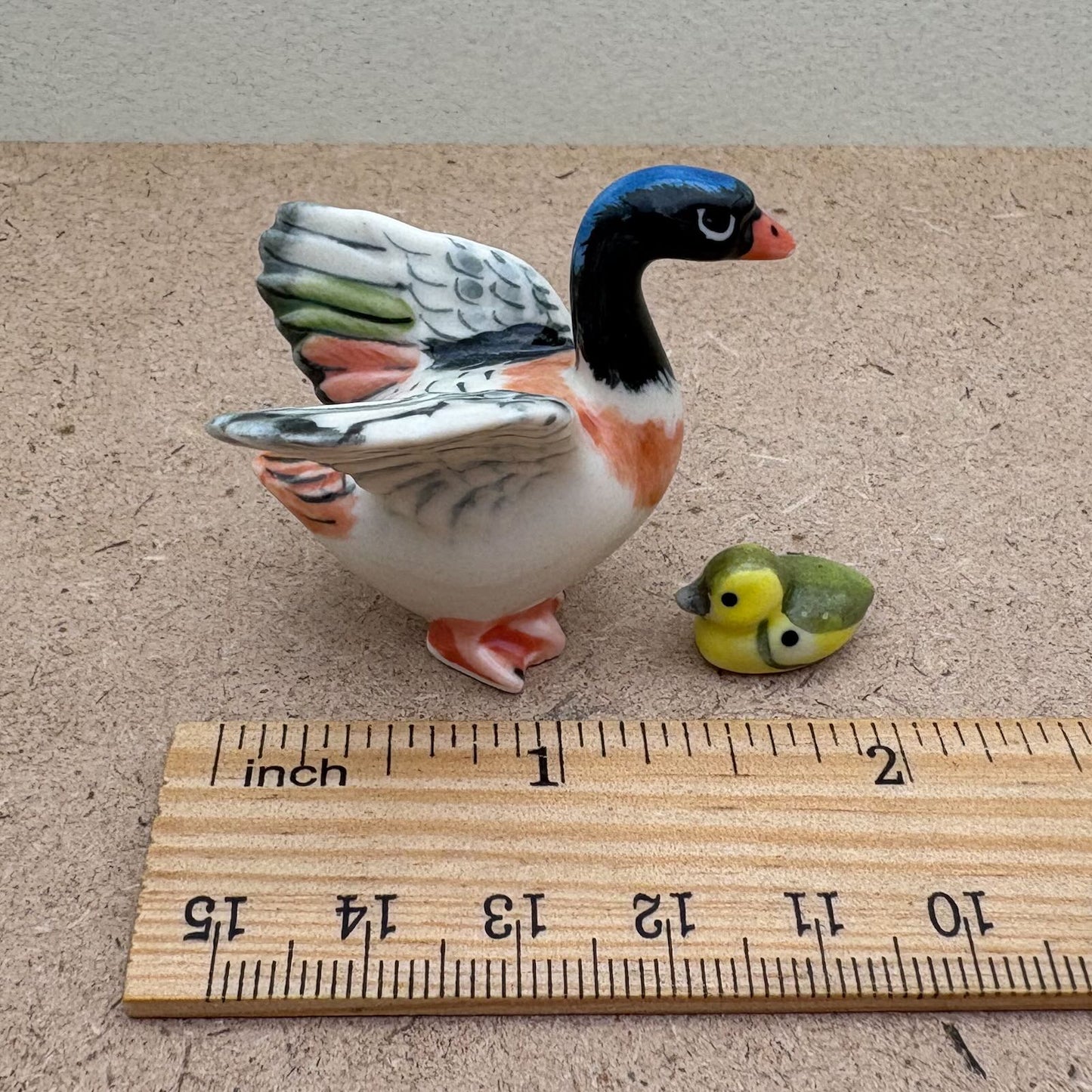 Charming Duck Family