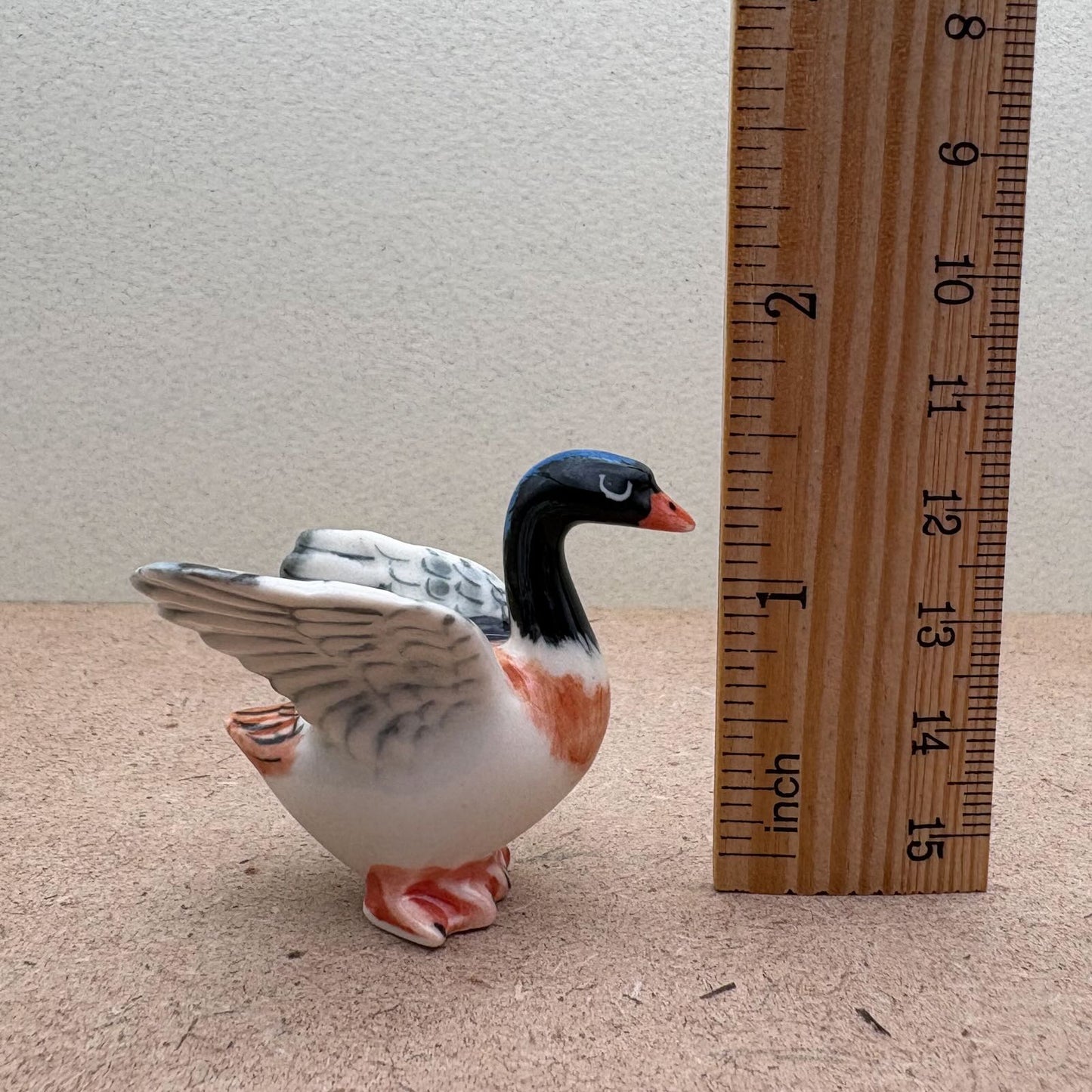 Charming Duck Family