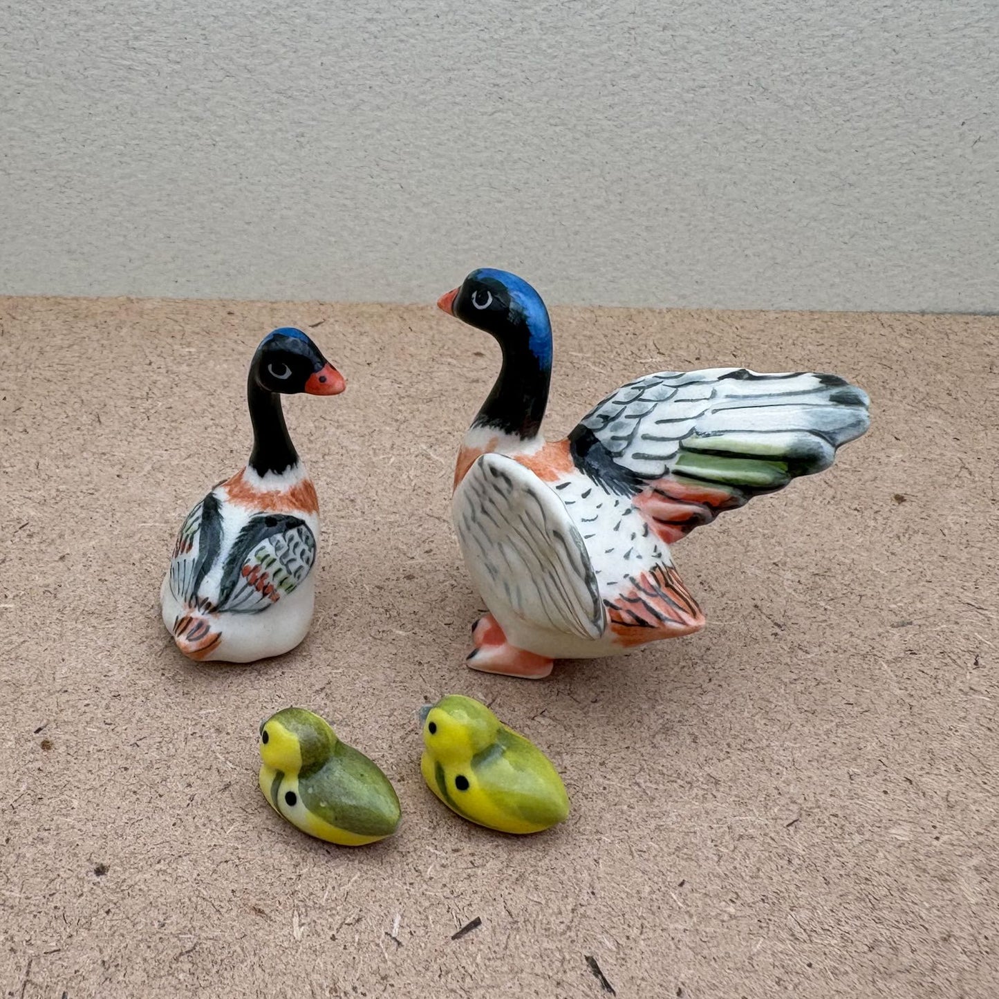 Charming Duck Family