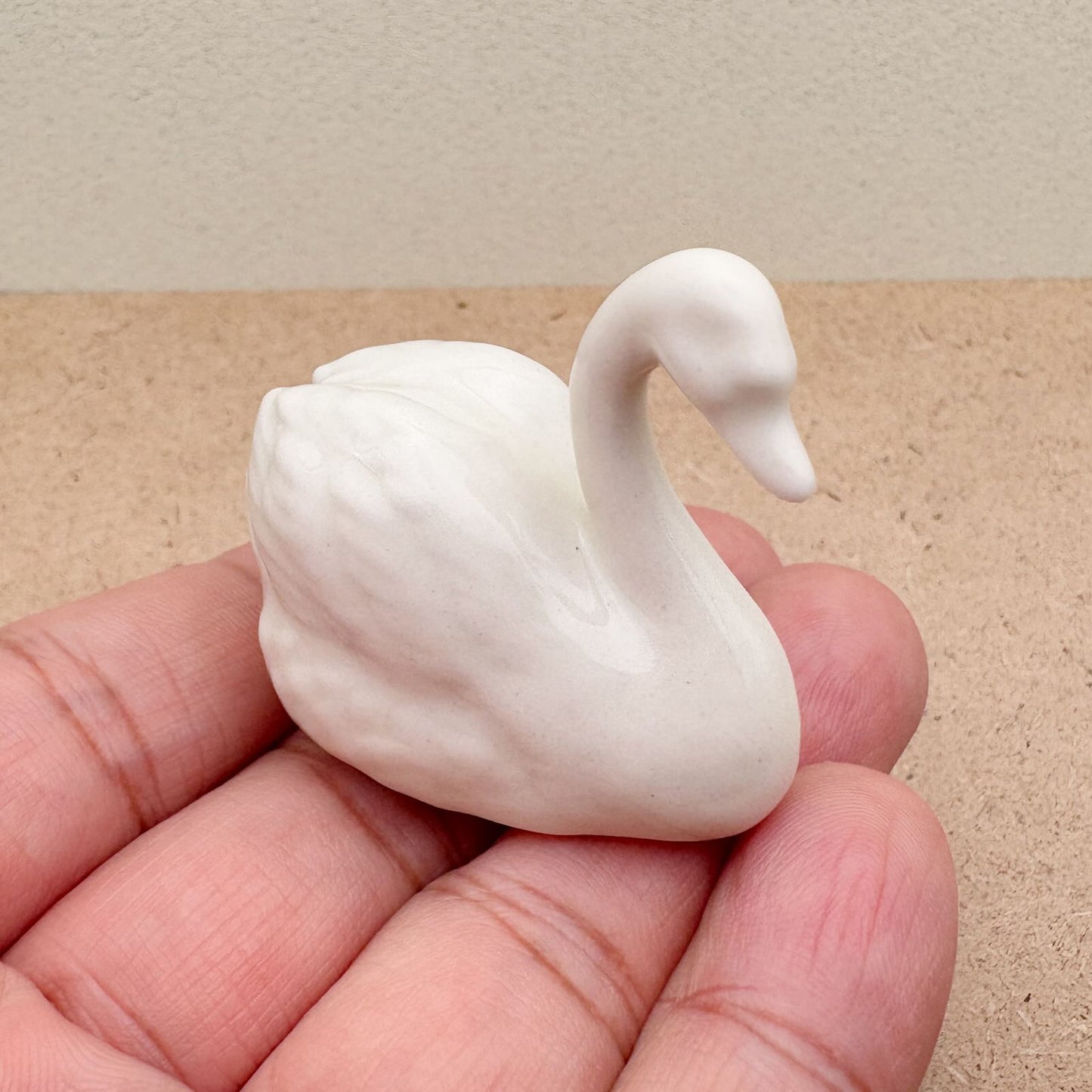 Elegant White Swan
