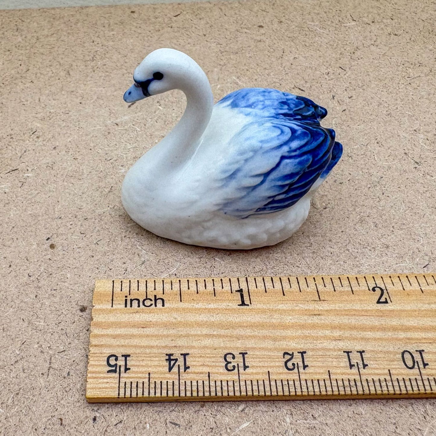 White & Blue Swan
