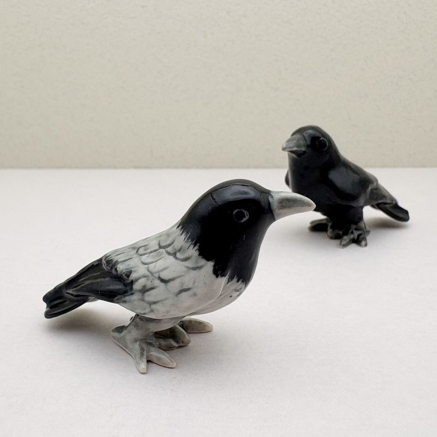 Mystic Raven & Crow