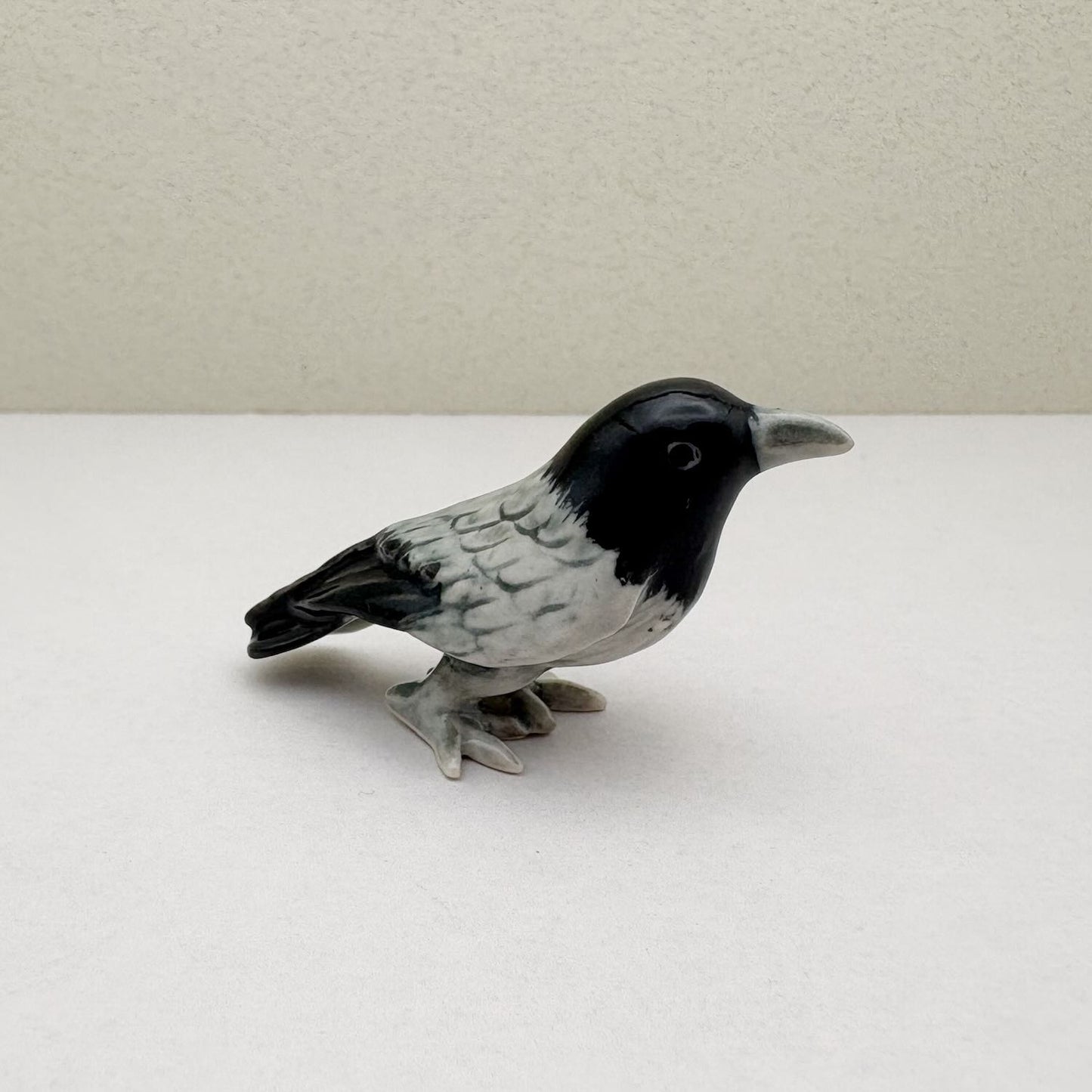 Mystic Raven & Crow